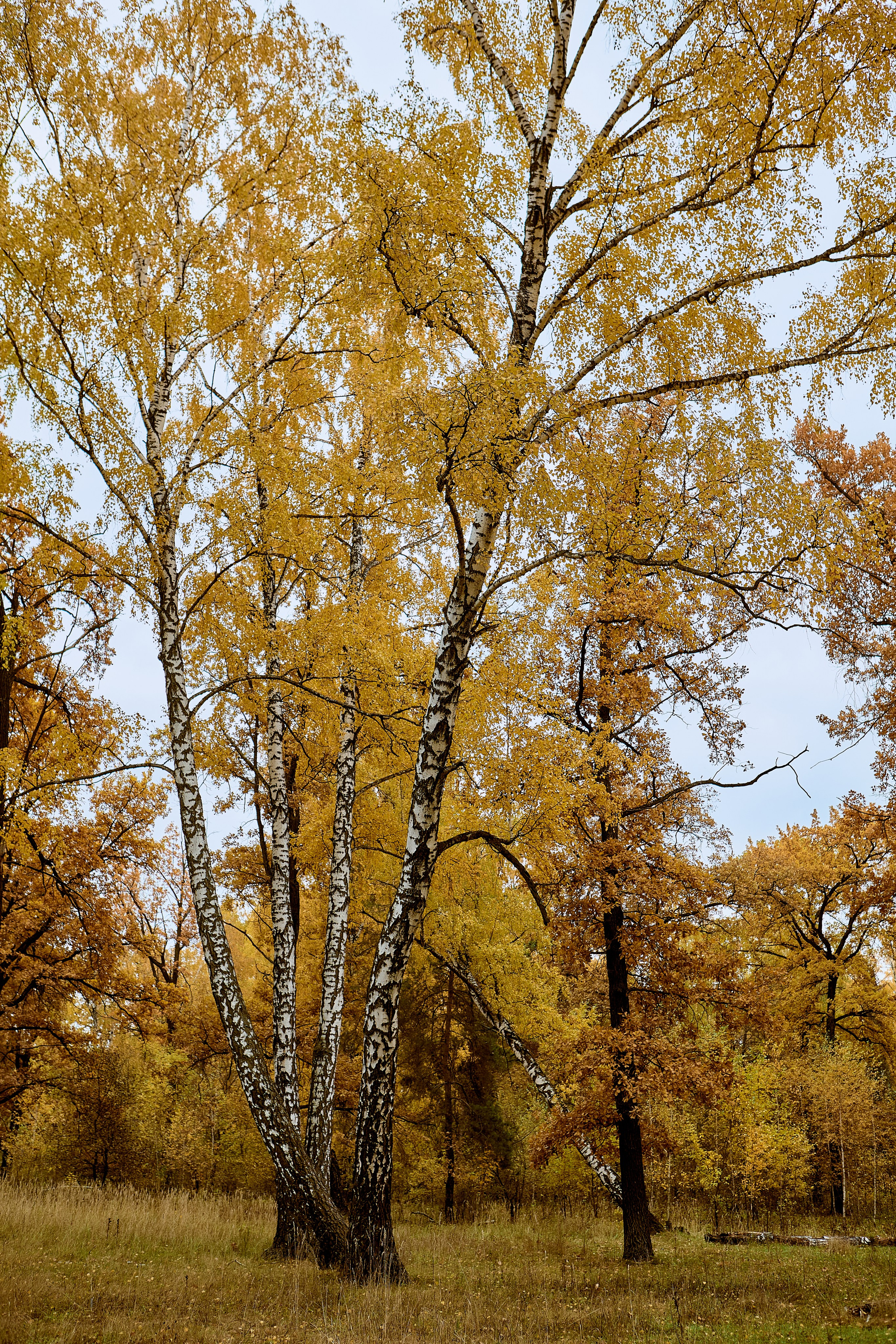 Фотографии природы