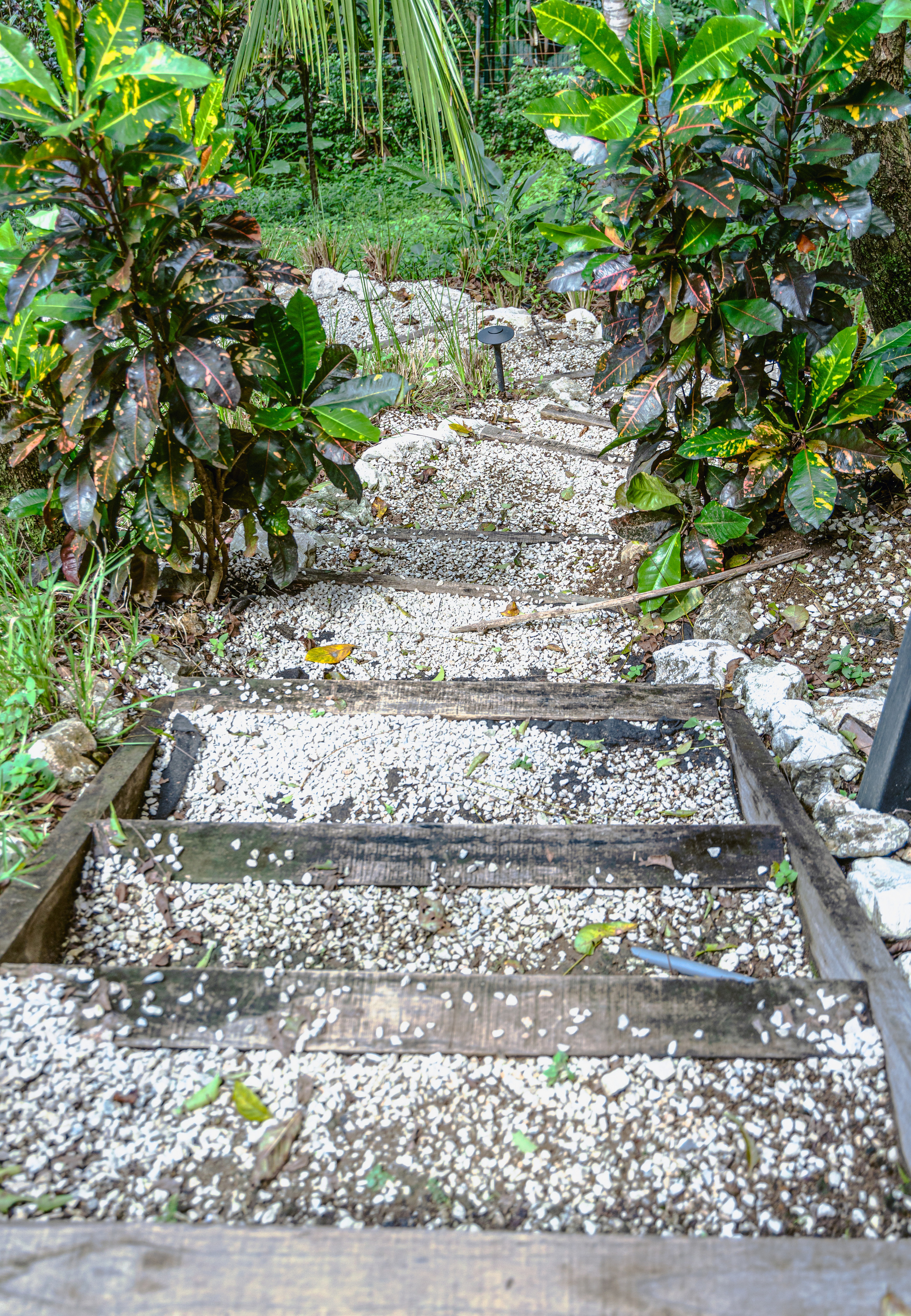 Photo session of a house with an ocean view for rent. Family, portrait, content photo in Costa Rica Evgeniya Besprozvannykh