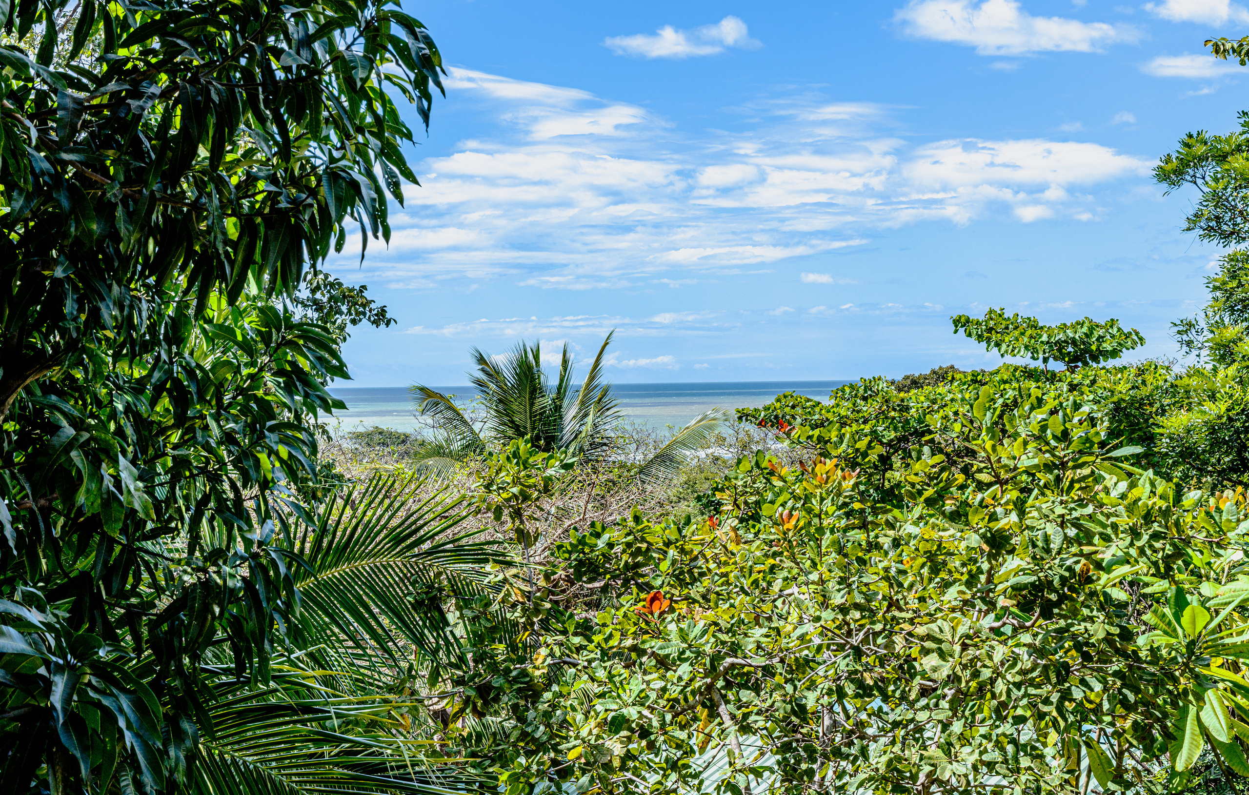 Photo session of a house with an ocean view for rent. Family, portrait, content photo in Costa Rica Evgeniya Besprozvannykh