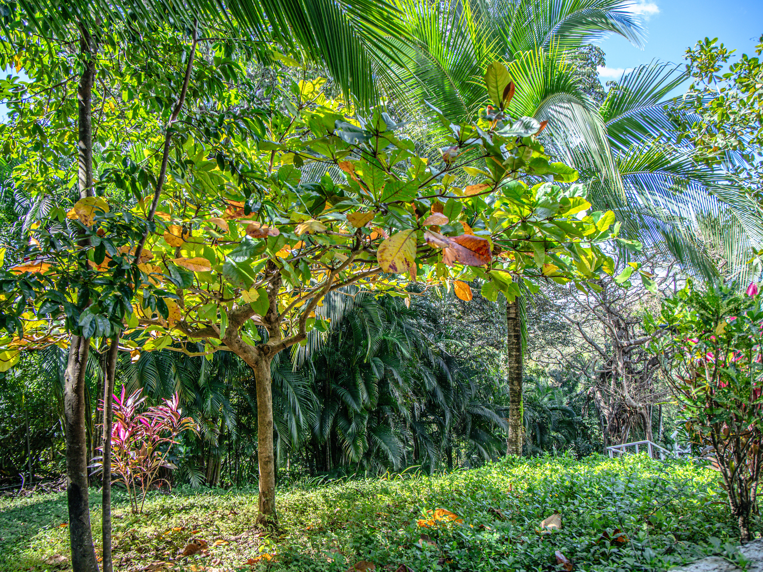 Photo session of a house with an ocean view for rent. Family, portrait, content photo in Costa Rica Evgeniya Besprozvannykh