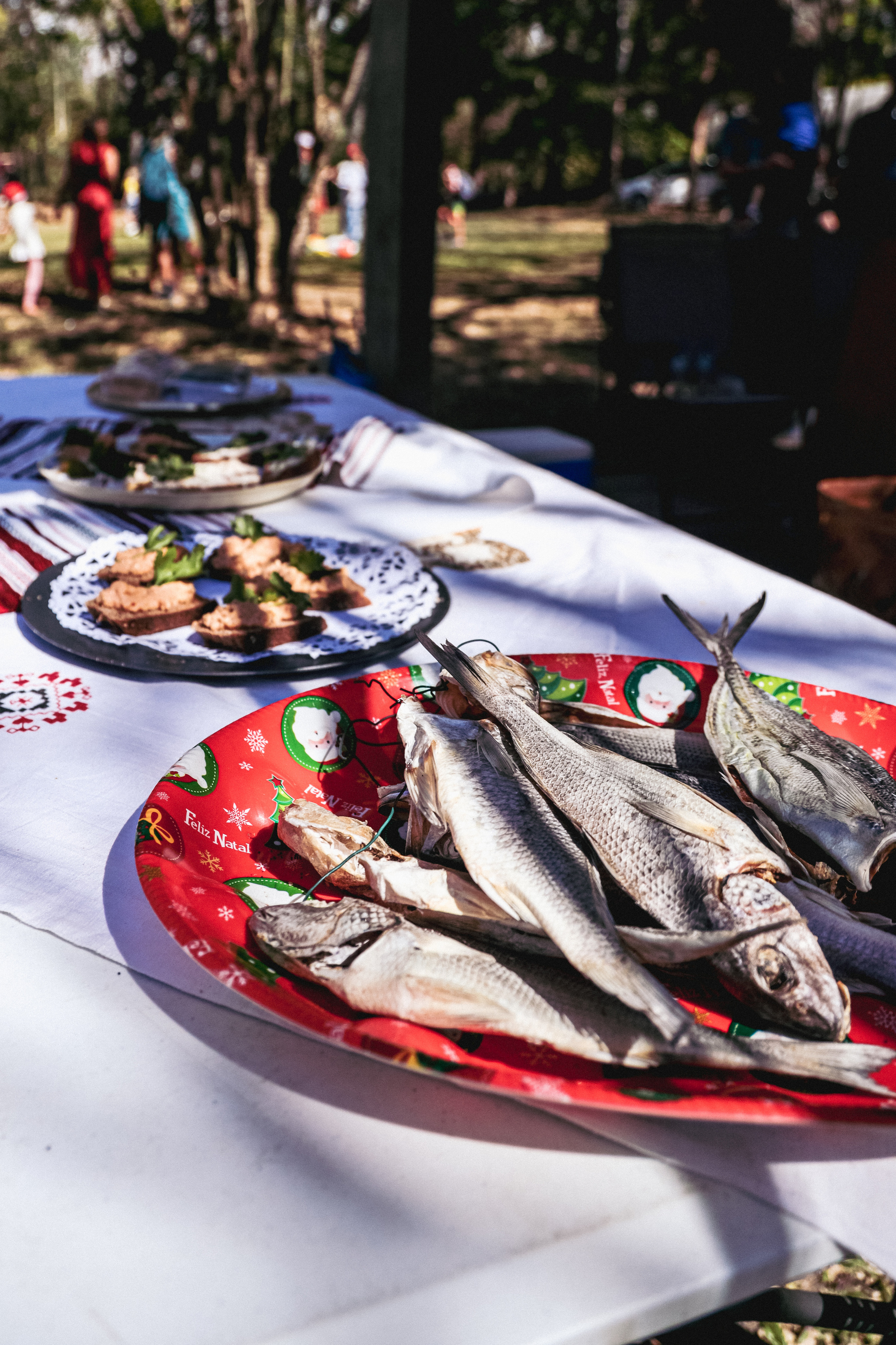 Shrovetide In Russian style. Family, portrait, content photo in Costa Rica Evgeniya Besprozvannykh