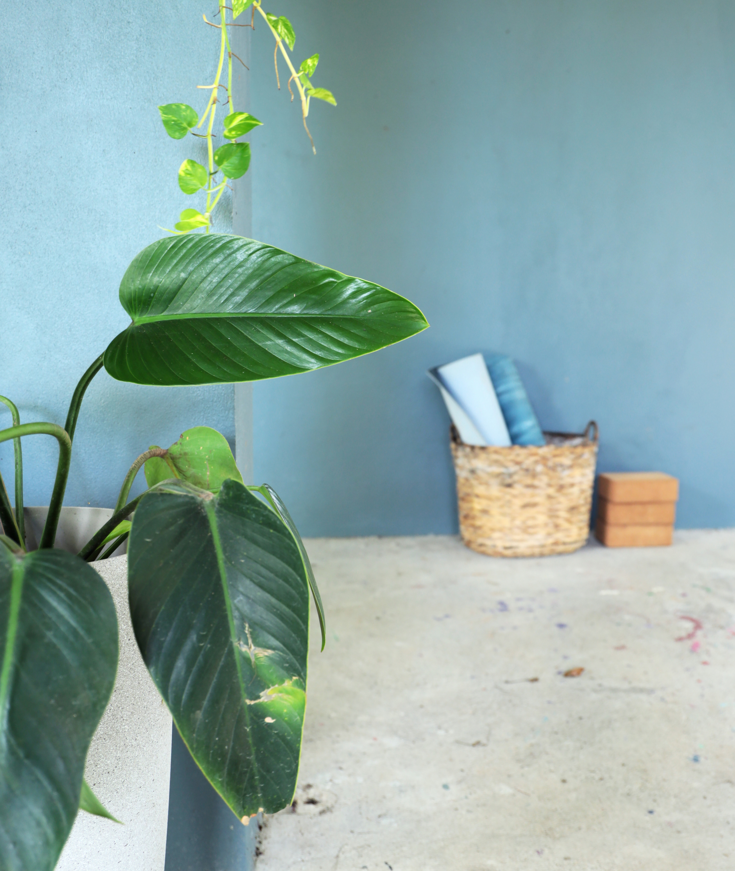 Photo session of a house with an ocean view for rent. Family, portrait, content photo in Costa Rica Evgeniya Besprozvannykh