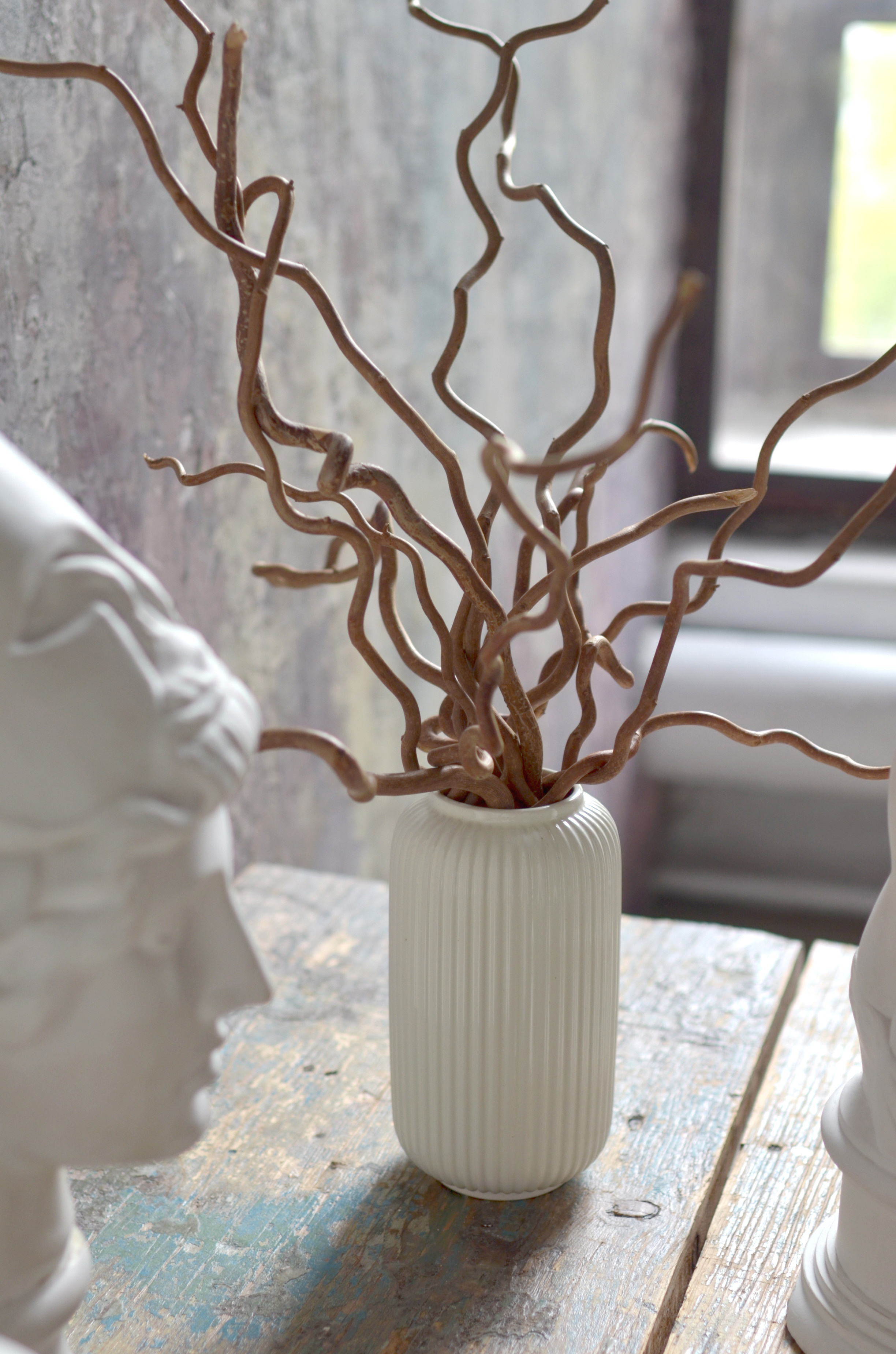 Maria in studio -minimalism. Family, portrait, content photo in Costa Rica Evgeniya Besprozvannykh