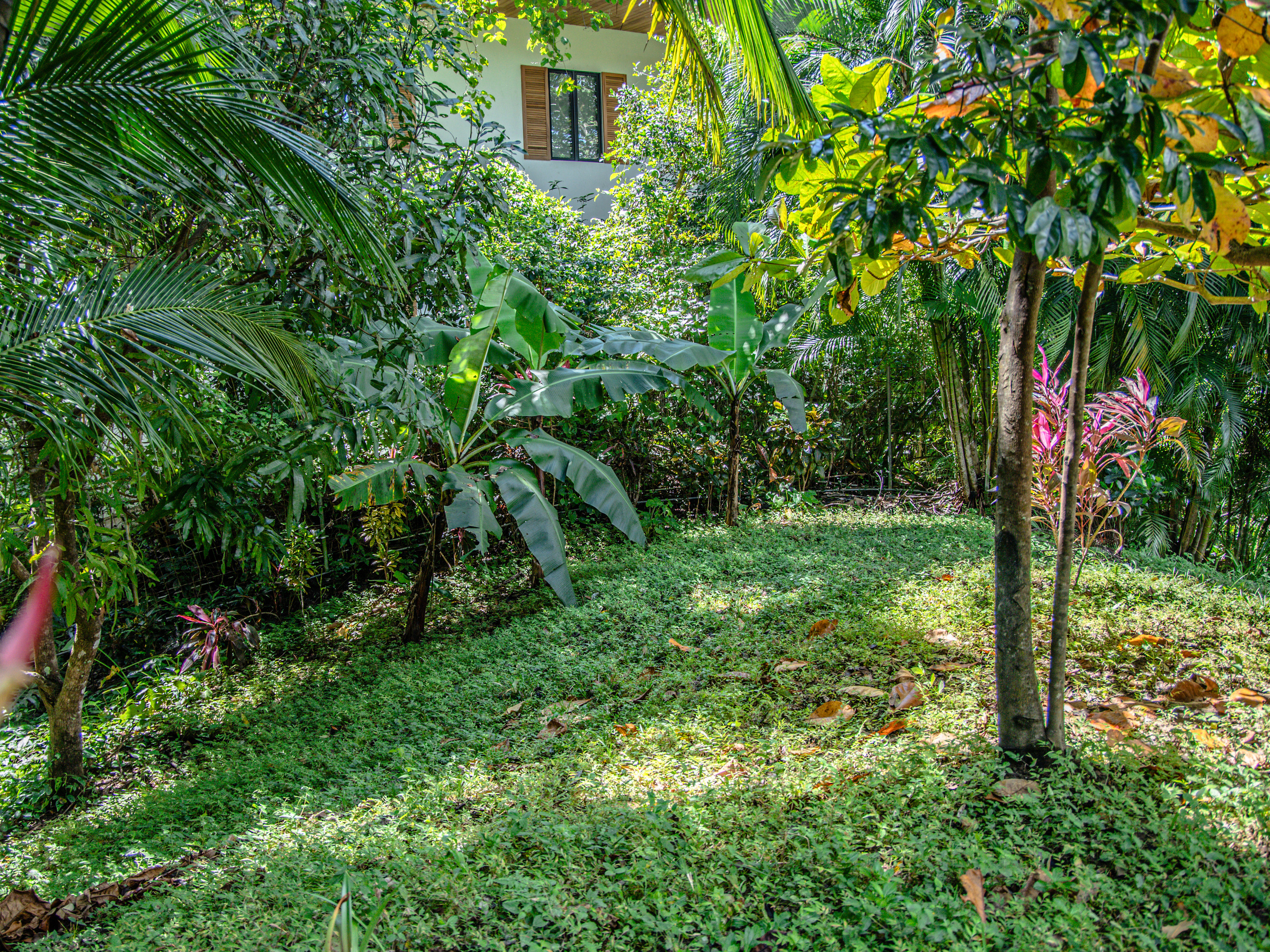 Photo session of a house with an ocean view for rent. Family, portrait, content photo in Costa Rica Evgeniya Besprozvannykh