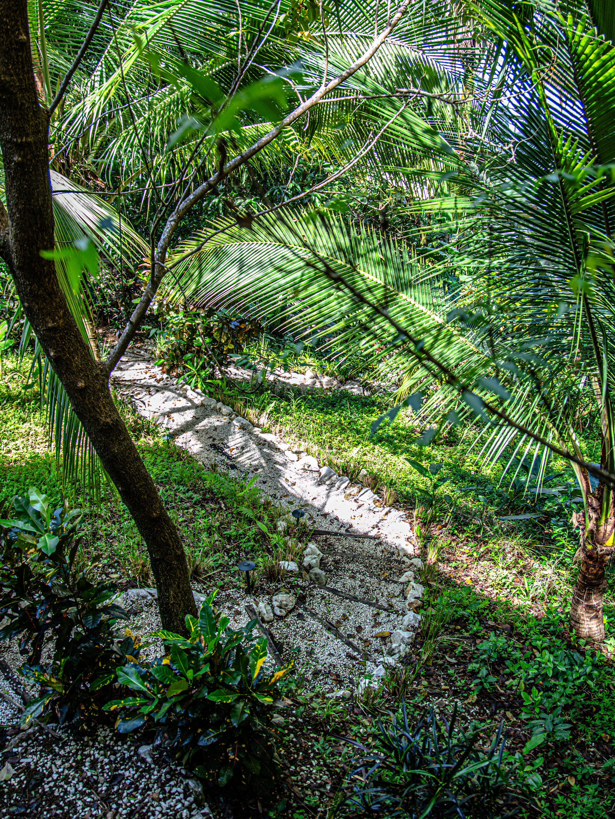 Photo session of a house with an ocean view for rent. Family, portrait, content photo in Costa Rica Evgeniya Besprozvannykh
