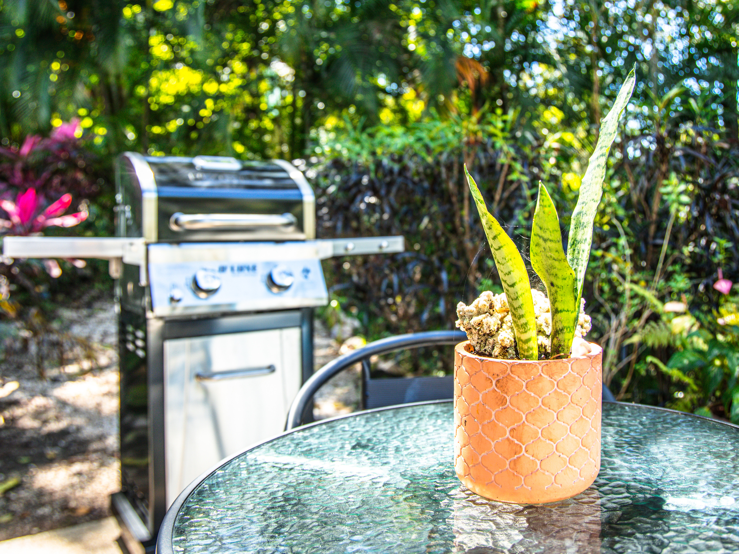 Photo session of a house with an ocean view for rent. Family, portrait, content photo in Costa Rica Evgeniya Besprozvannykh