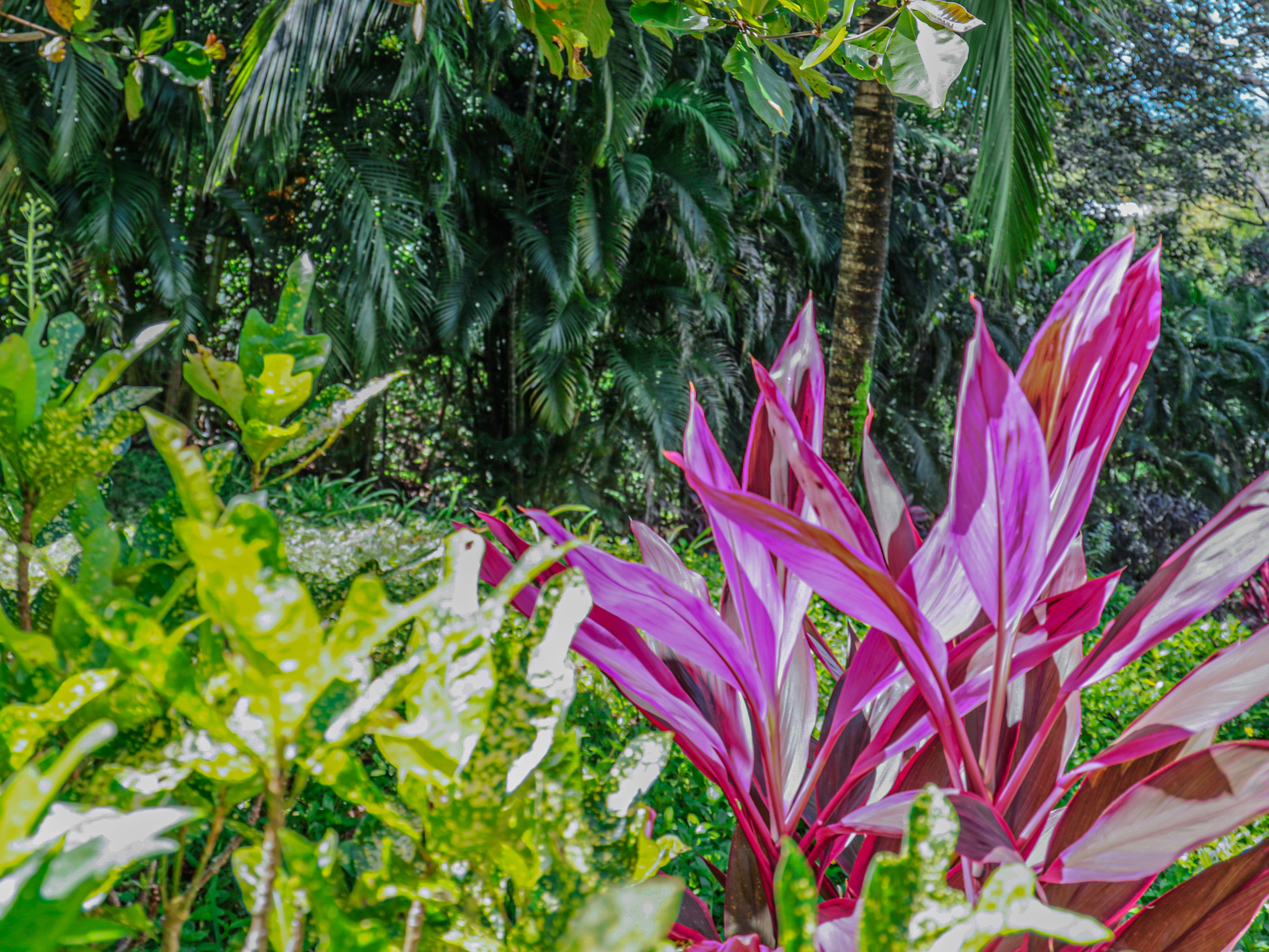 Photo session of a house with an ocean view for rent. Family, portrait, content photo in Costa Rica Evgeniya Besprozvannykh