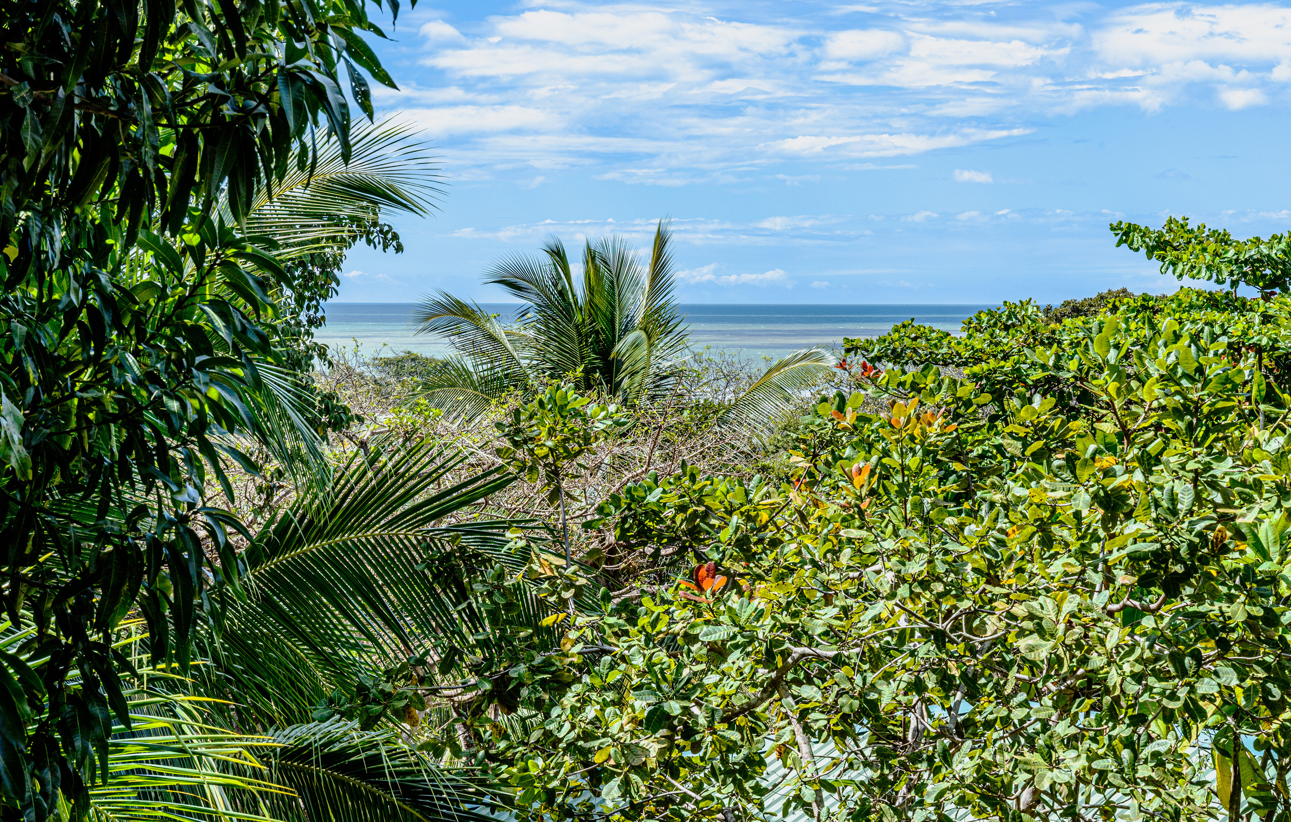 Photo session of a house with an ocean view for rent. Family, portrait, content photo in Costa Rica Evgeniya Besprozvannykh