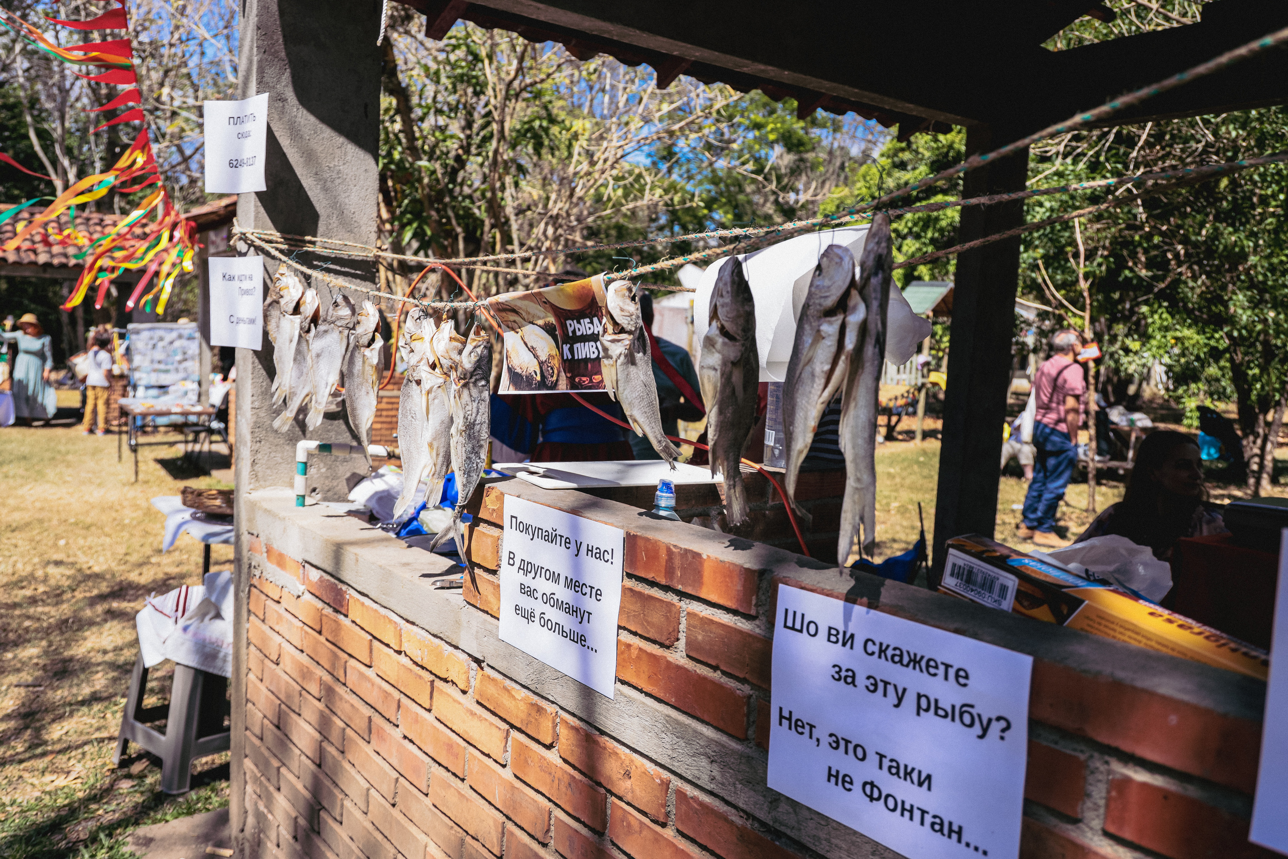 Shrovetide In Russian style. Family, portrait, content photo in Costa Rica Evgeniya Besprozvannykh