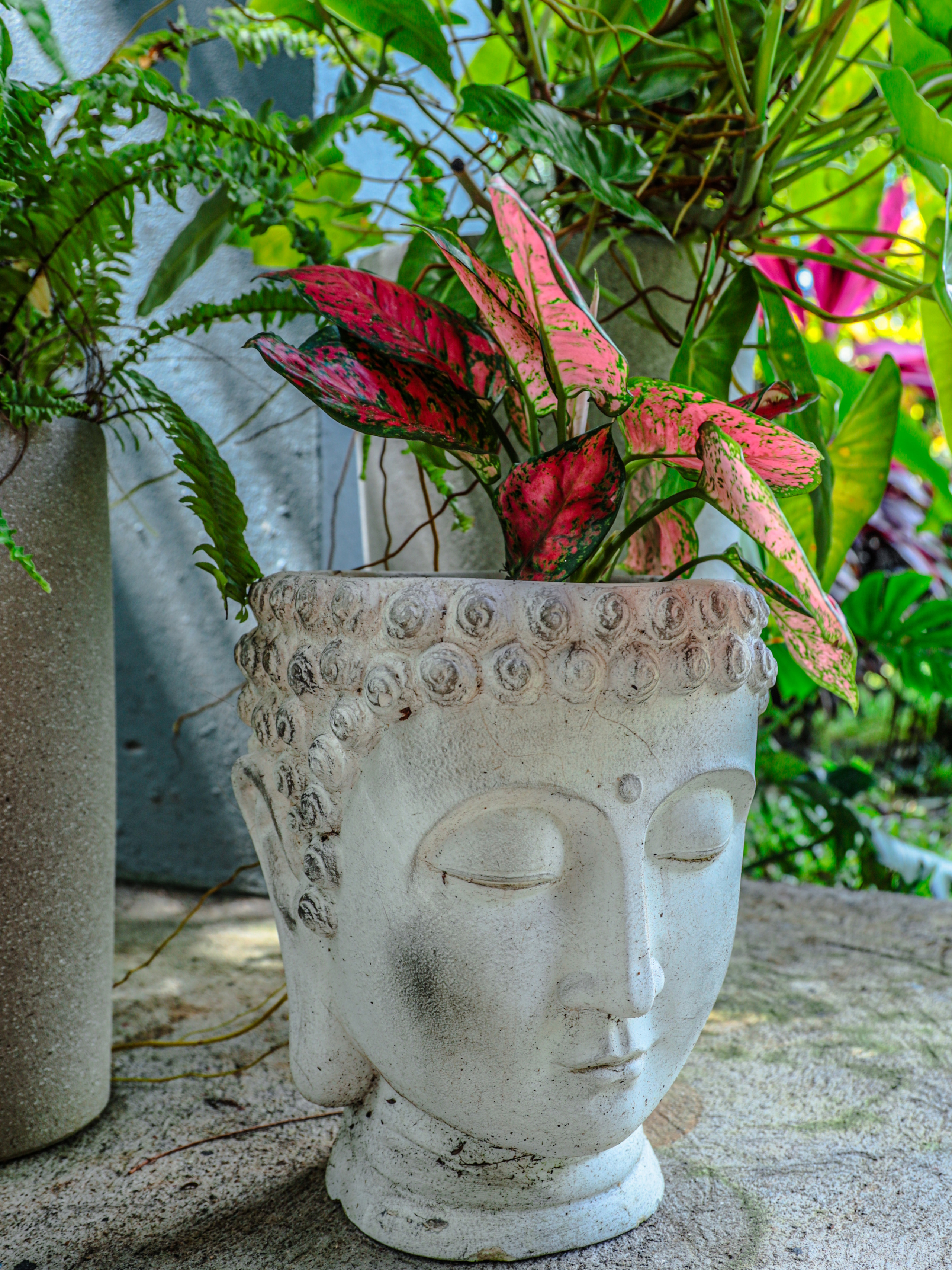 Photo session of a house with an ocean view for rent. Family, portrait, content photo in Costa Rica Evgeniya Besprozvannykh