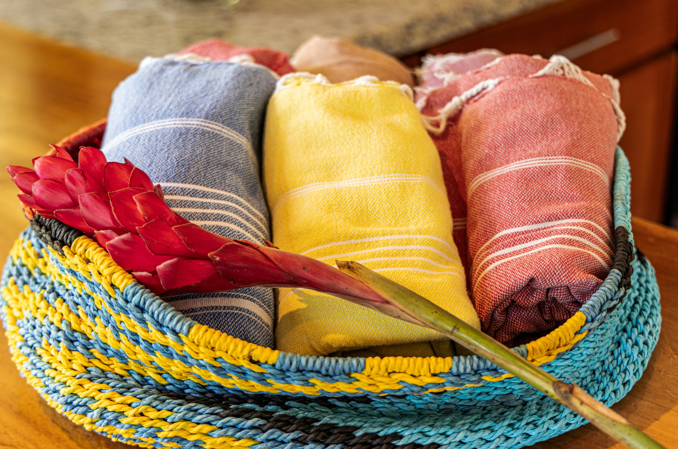 Photo session of a house with an ocean view for rent. Family, portrait, content photo in Costa Rica Evgeniya Besprozvannykh