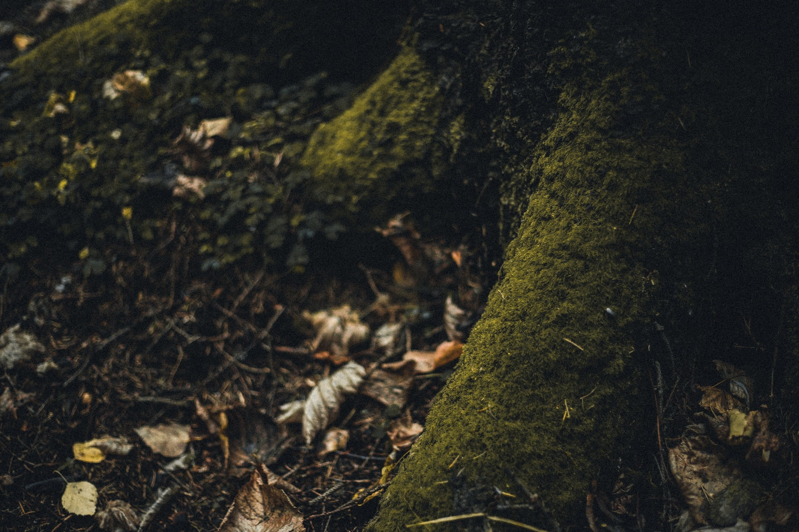 Улица горизонтальная. Jorgis — фотограф в Хургаде / обучение фотографии