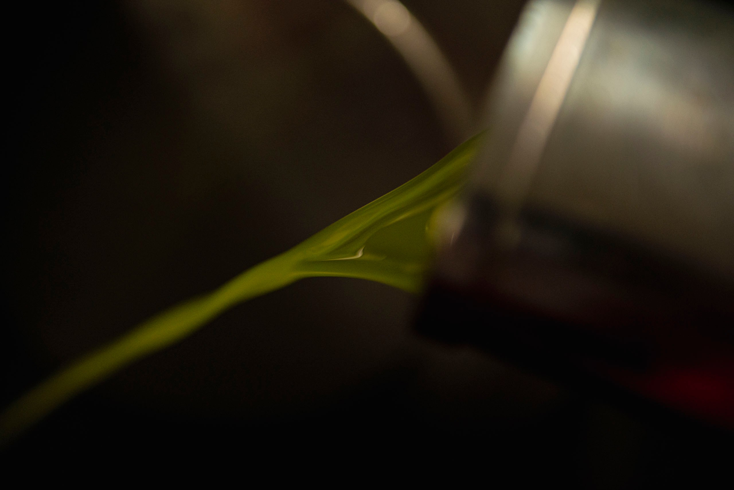 Производство EVOO на семейной маслобойне Frantoio Tistarelli в Тоскане, свежее масло льется из крана.