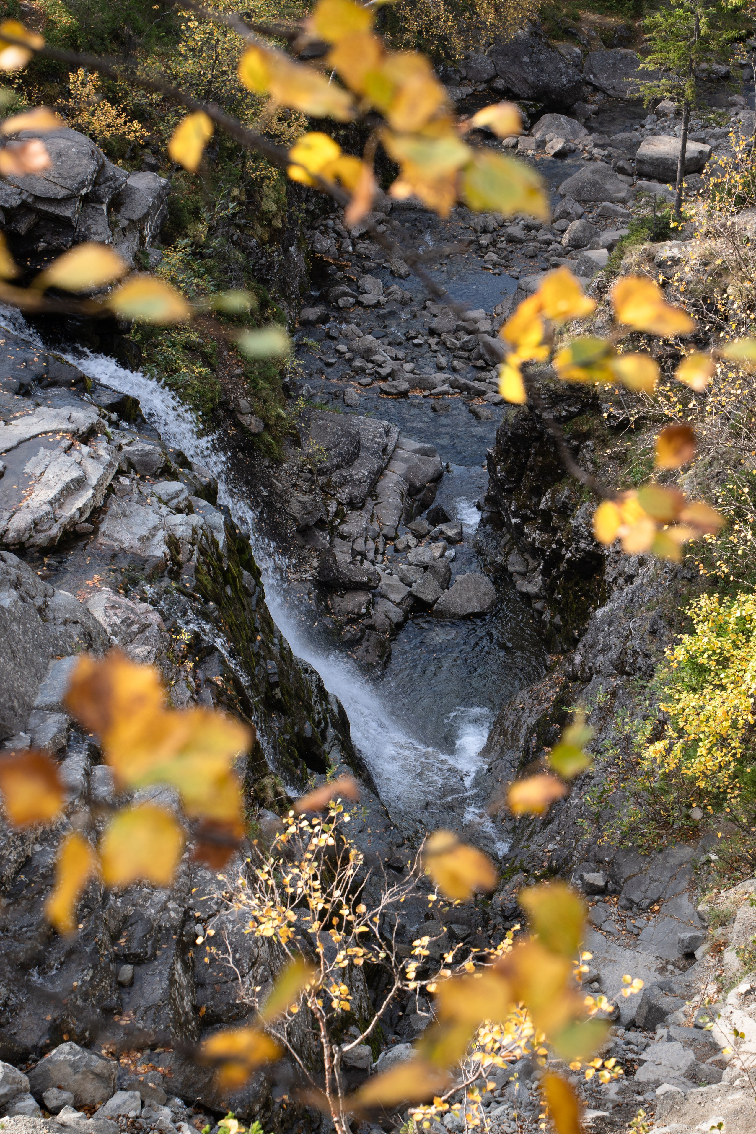 Пейзаж от Ольги Пановой. Интерьерный и архитектурный фотограф в Москве Панова Ольга