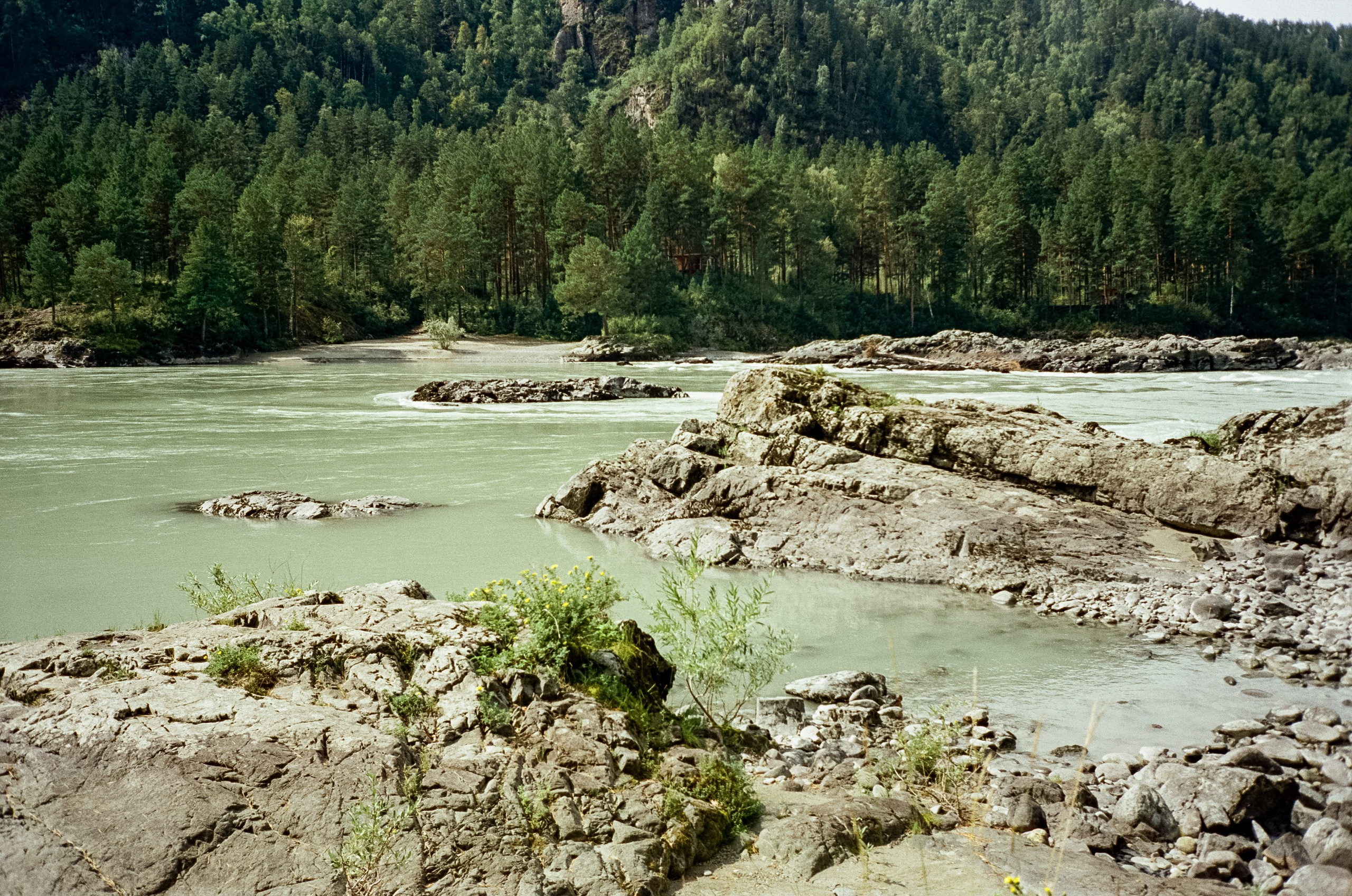 Кедровый остров, Катунь и скалы. Фотограф-документалист Мария Осокина