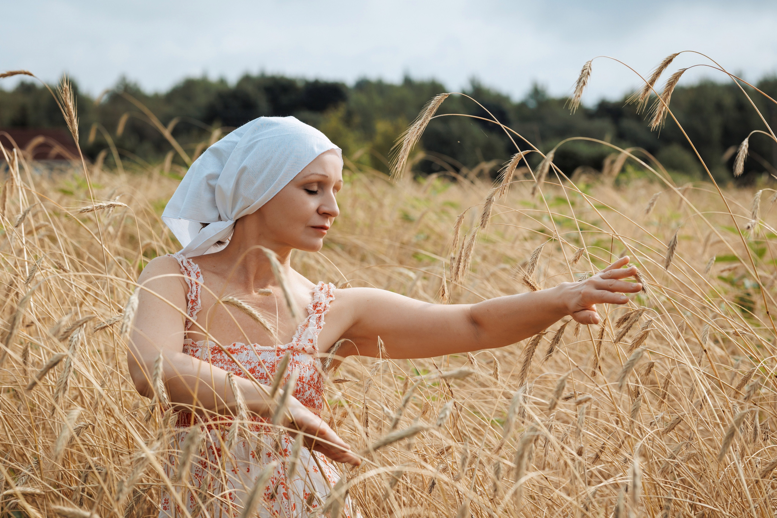 2025-08-10. Пшеничное поле