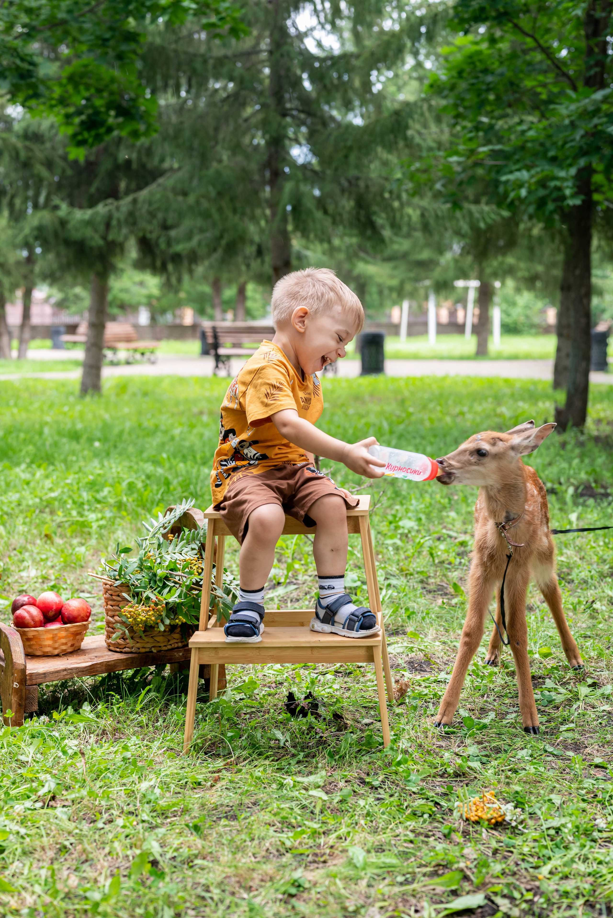 Фотопроект *Оленёнок Бэмби*. Фотограф в городе Салават