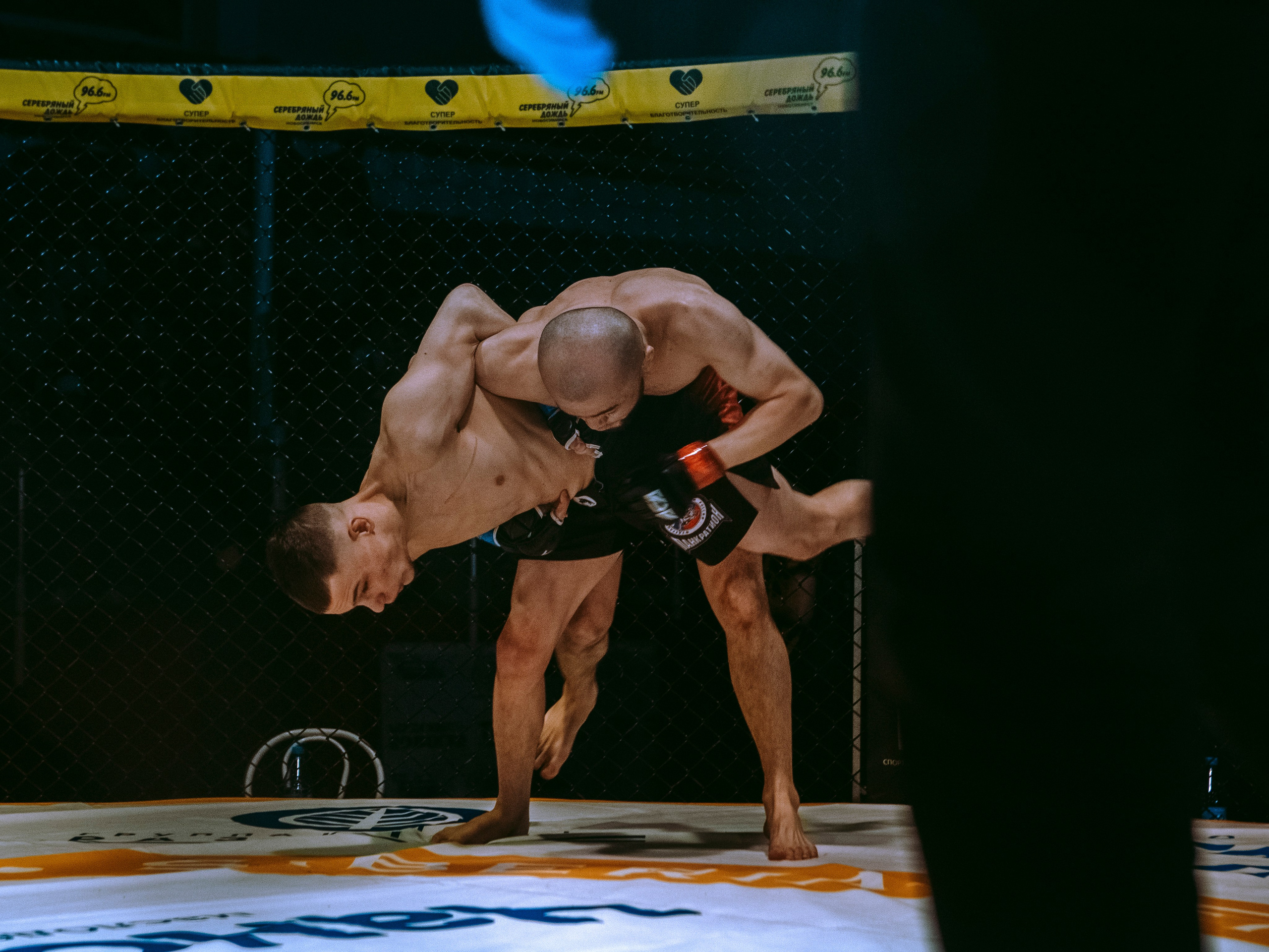 SFL 17 | Siberian Fighting League. Портретный фотограф в Москве Дарья Цезария