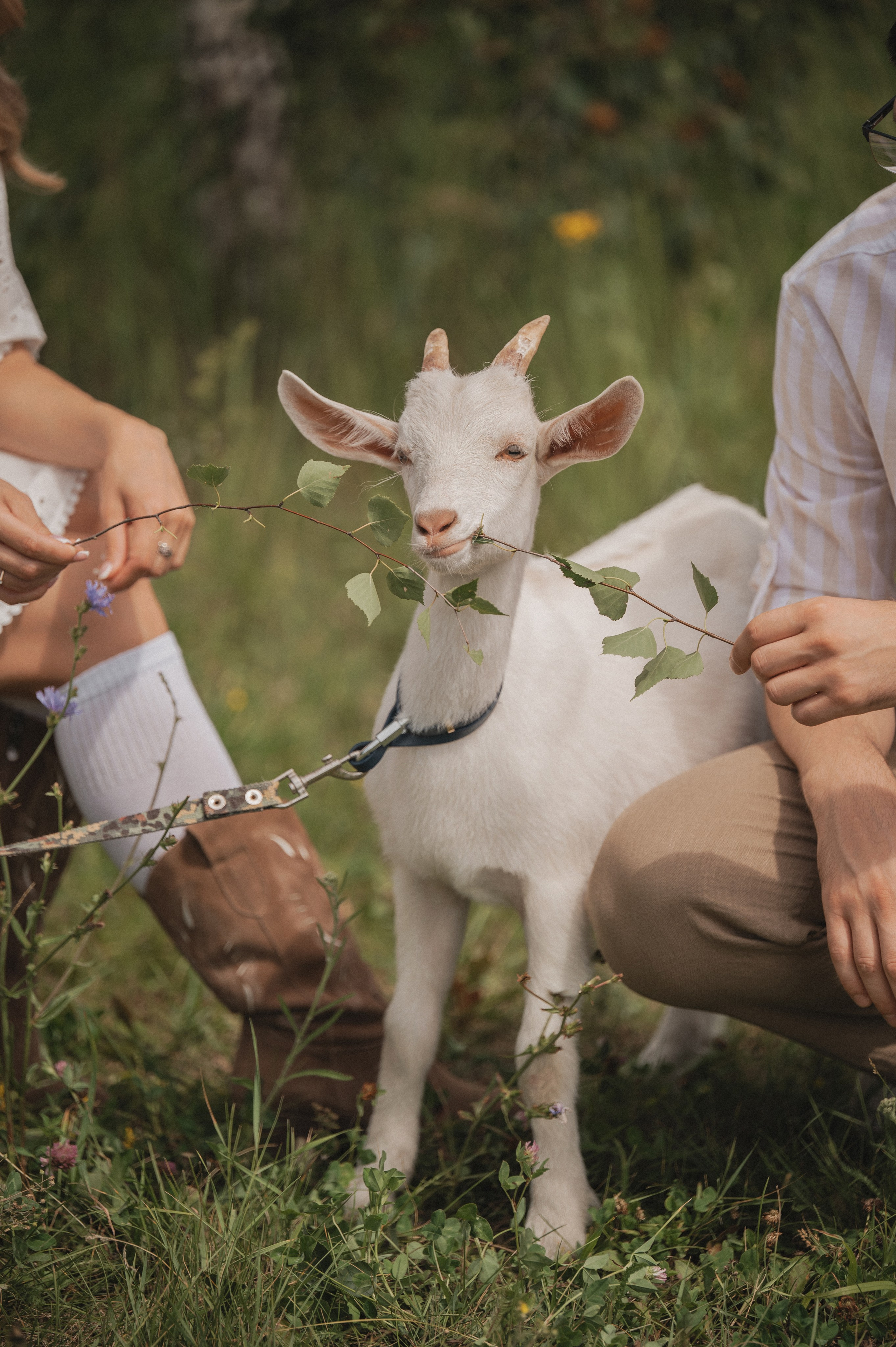 В саду. Свадебный фотограф в Рязани Дзюрак Елизавета