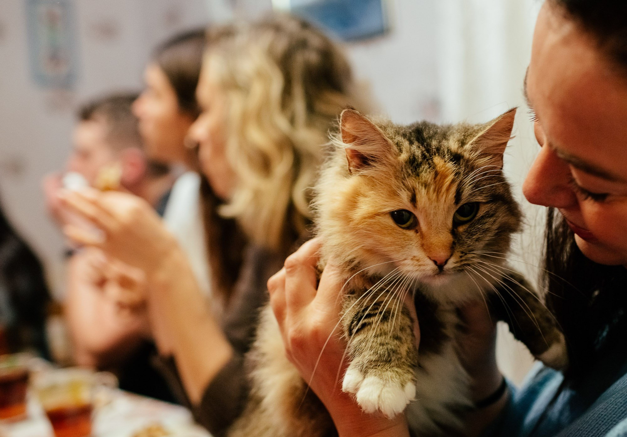 Поездка в вепсские деревни к «Лес и Ветер» 10-12.11.23. Портретный и свадебный фотограф в Санкт-Петербурге Ольга Филиппова