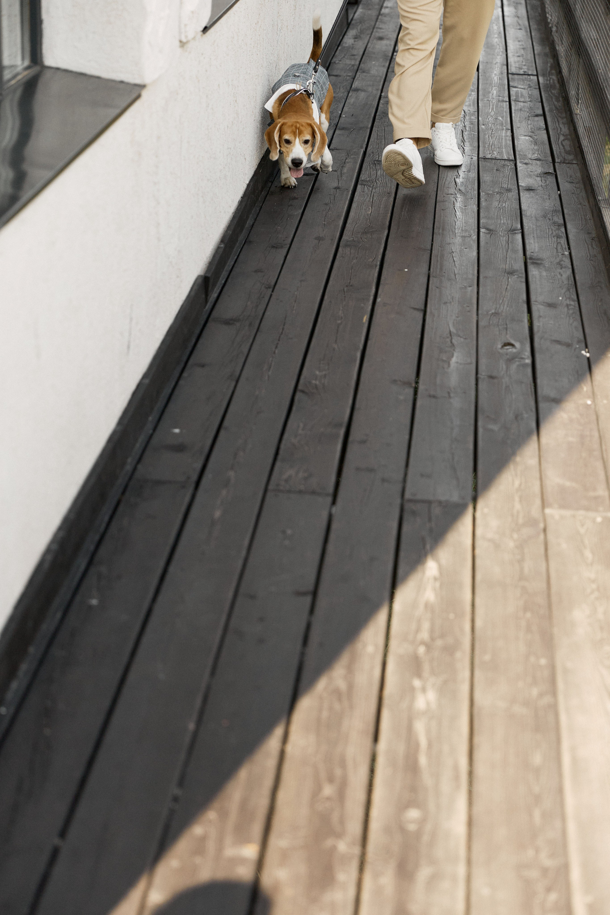 Посмотреть серию. Свадебный и семейный фотограф в Красноярске Тряпчев Павел