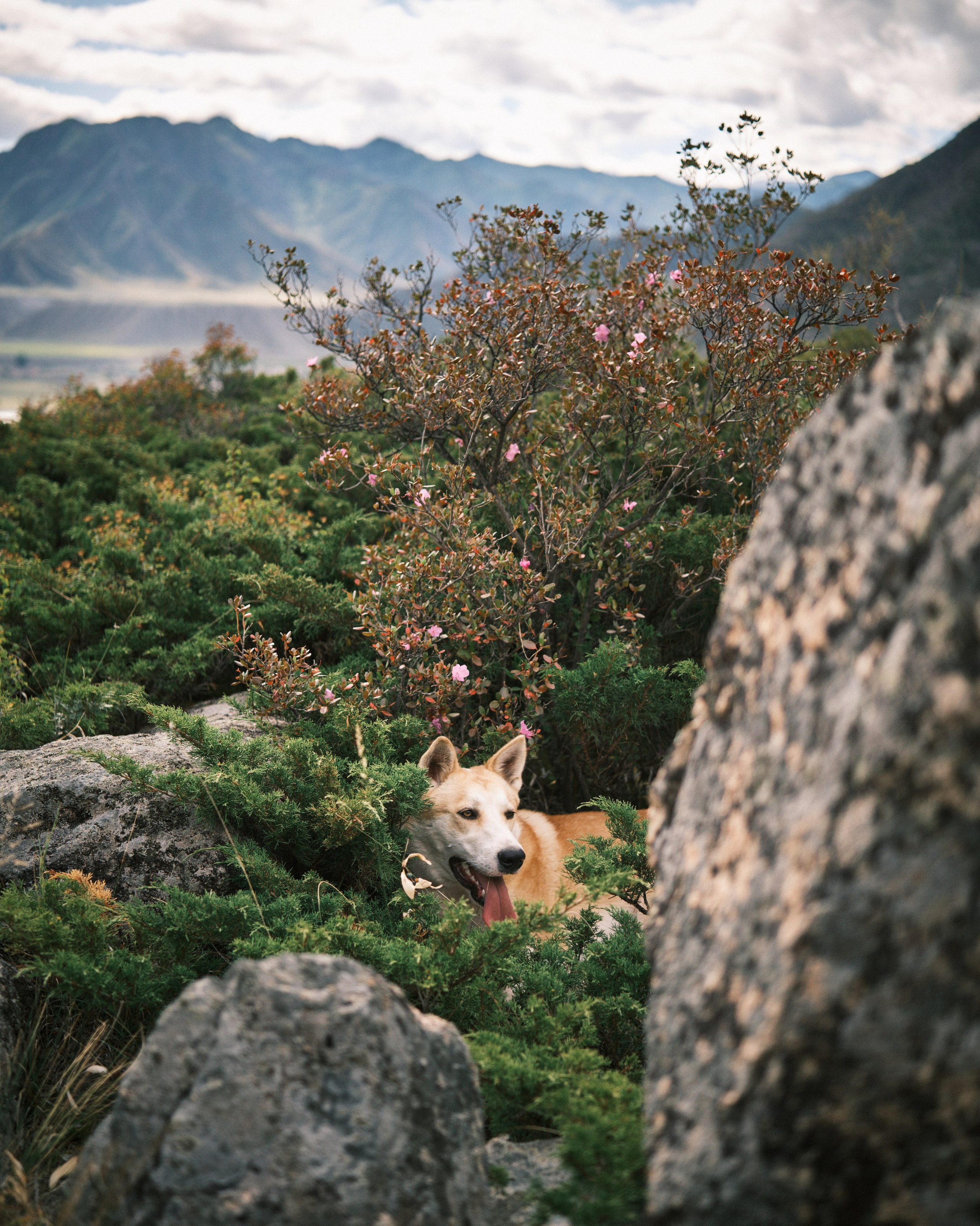 Природа. Антон Ив