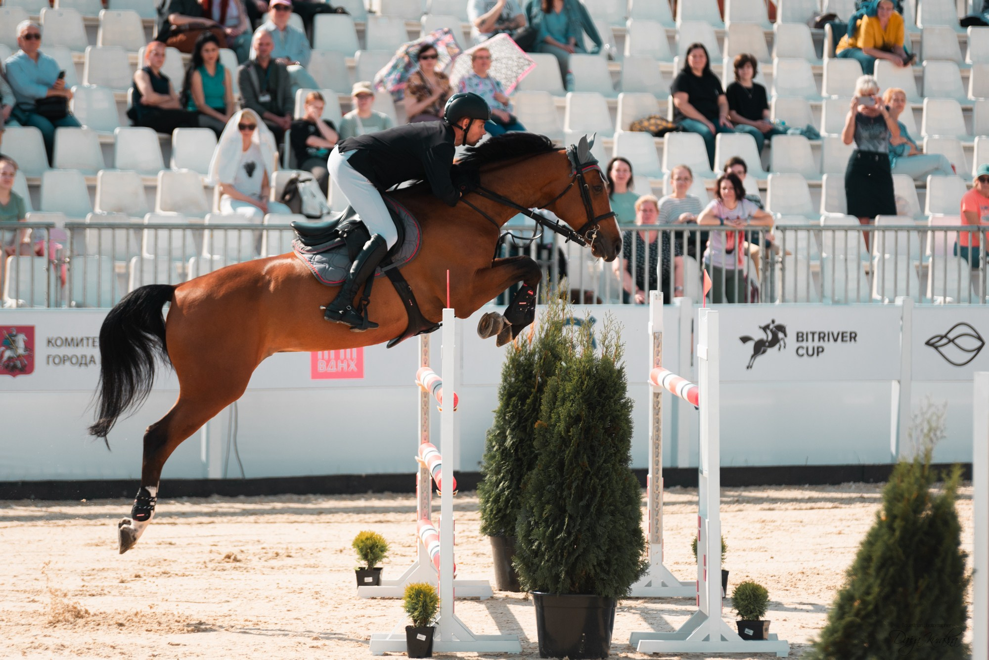 BITRIVER CUP 2023. Конный фотограф Куракина Дарья • Фотосессии с лошадьми
