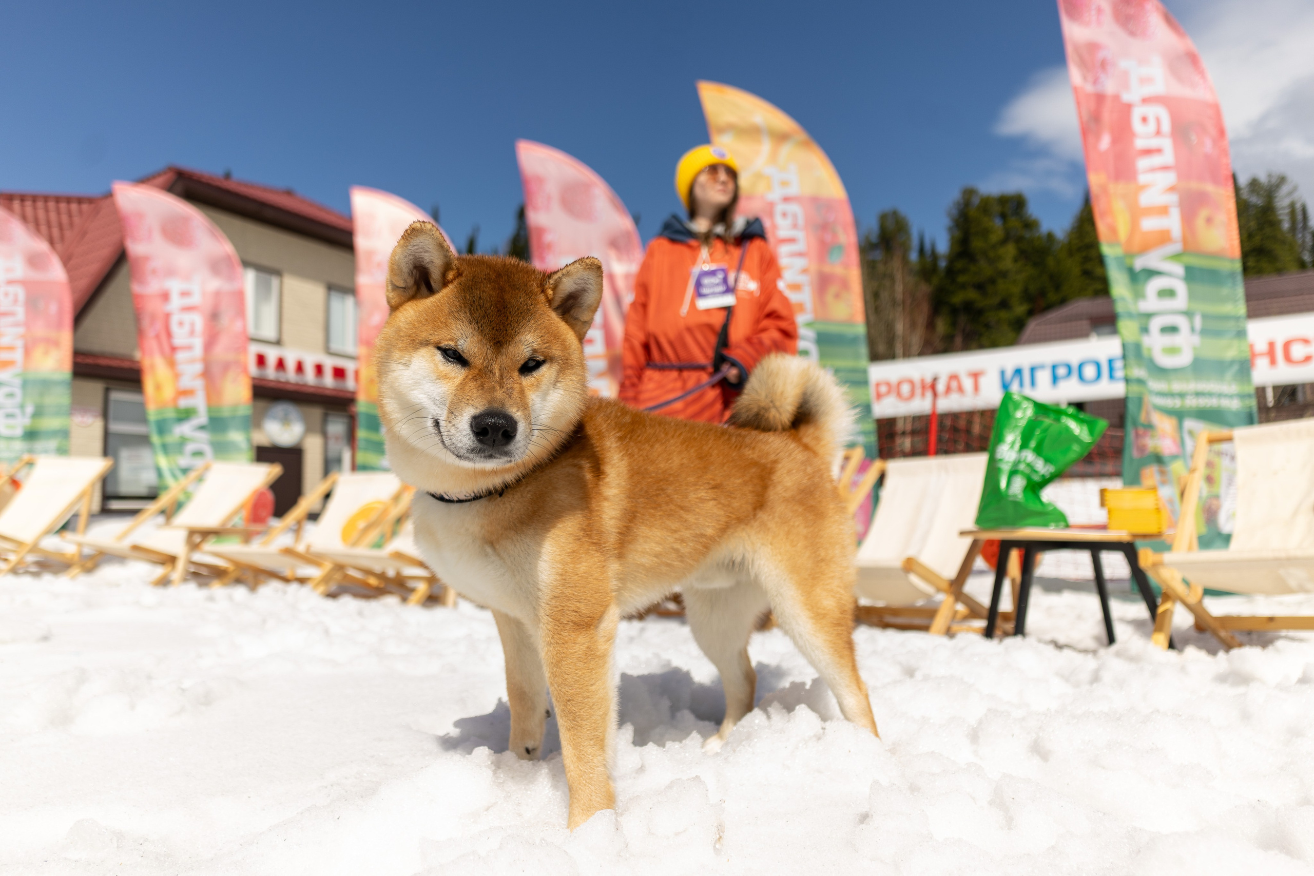 Грелка 18.04.24. Анастасия Паршукова — фотограф Шерегеш Новосибирск