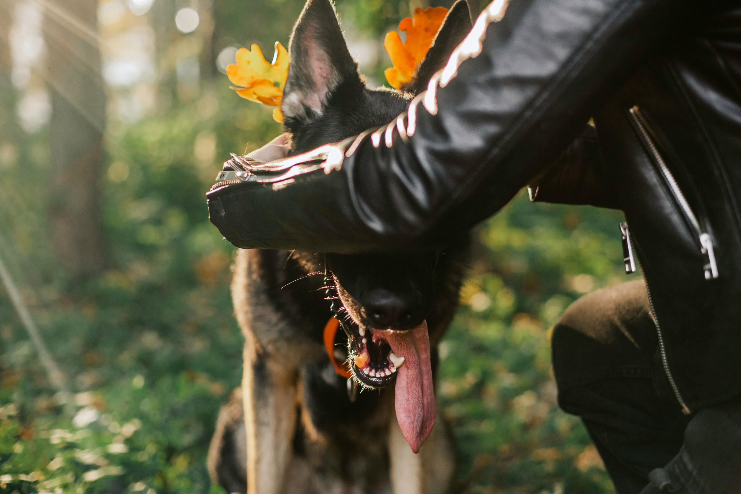 Илай. Фотограф-анималист Татьяна Степанова