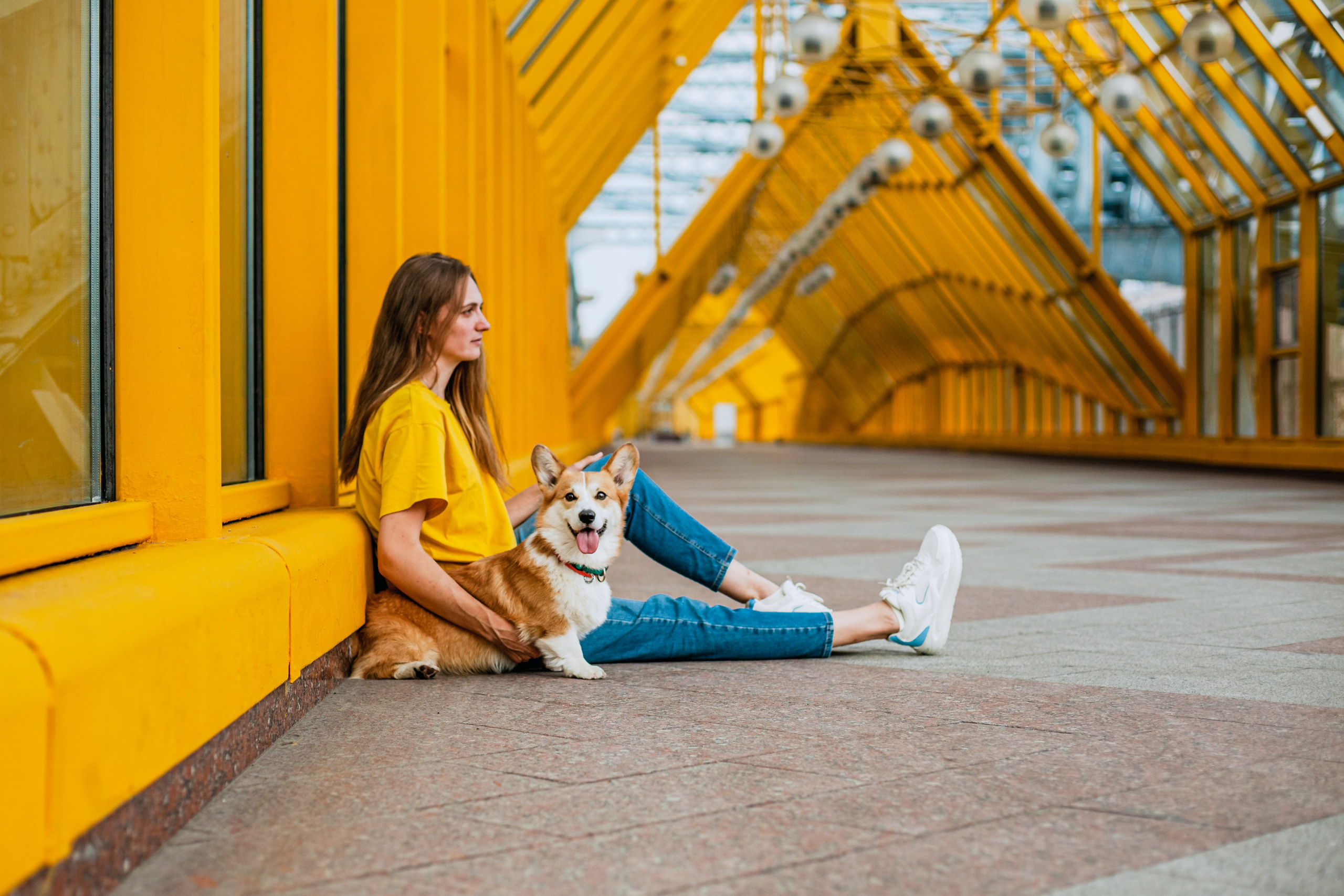 Андреевский мост. Фотограф-анималист Татьяна Степанова