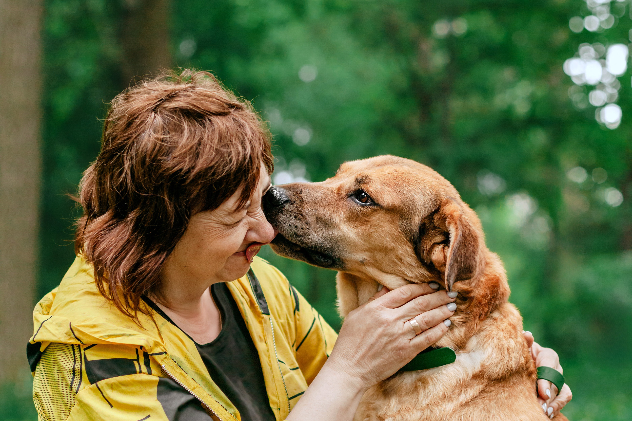 Собаки из приюта Дубовая роща лето 2025. Фотограф-анималист Татьяна Степанова