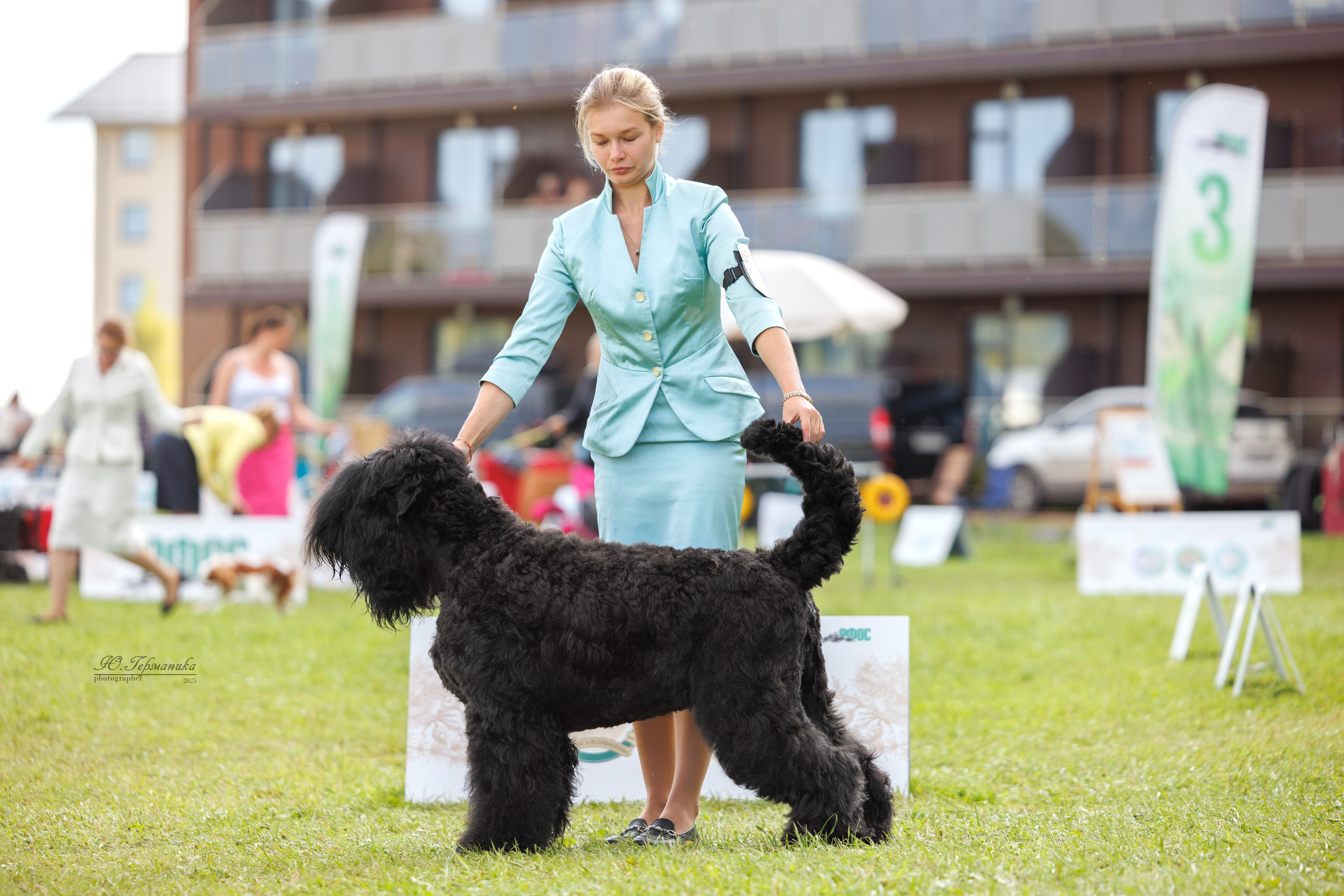 Переславль 5-7.08.2025. Фотограф-анималист Юлия Германика