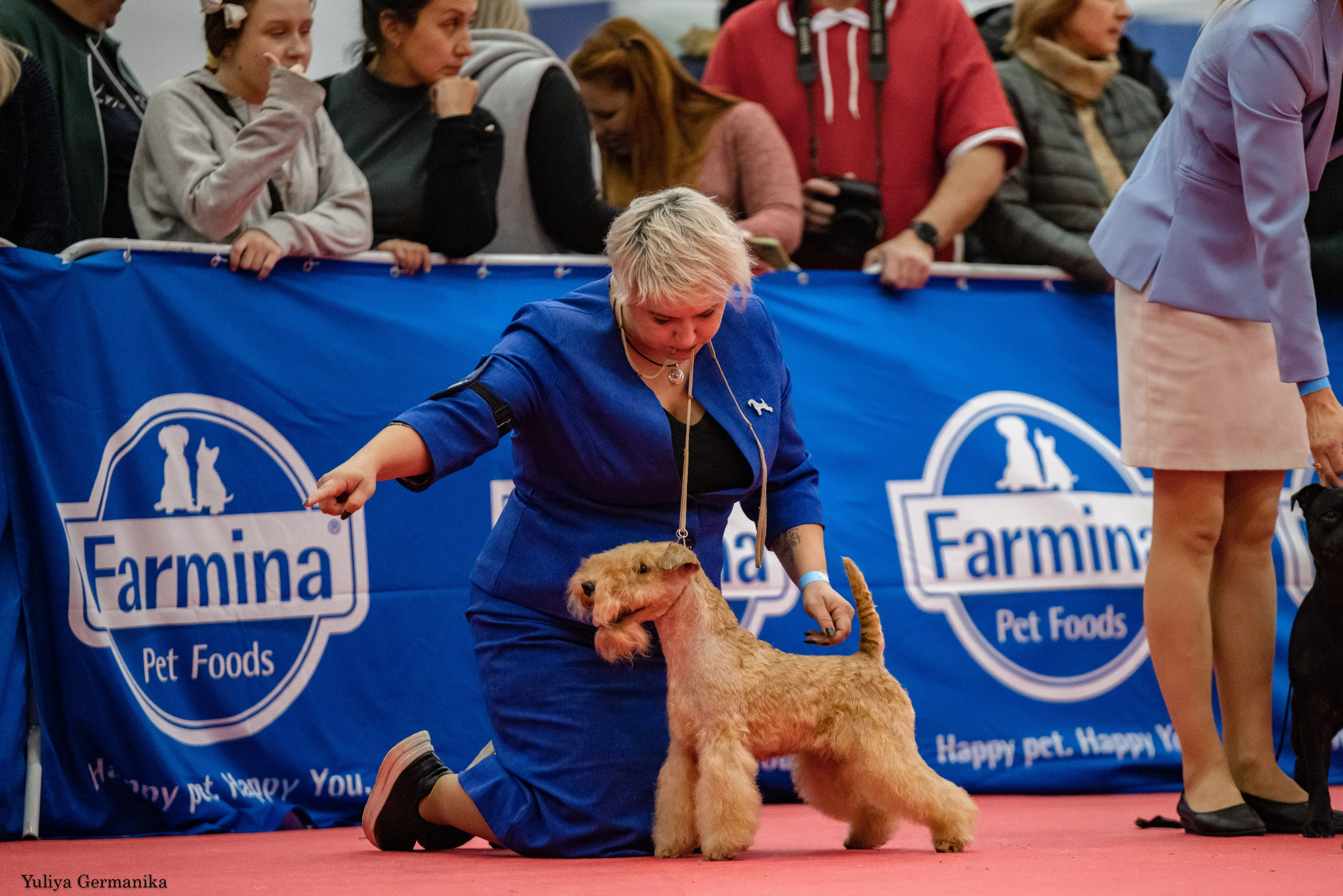 Нижний Новгород 21-22.10.2023. Фотограф-анималист Юлия Германика