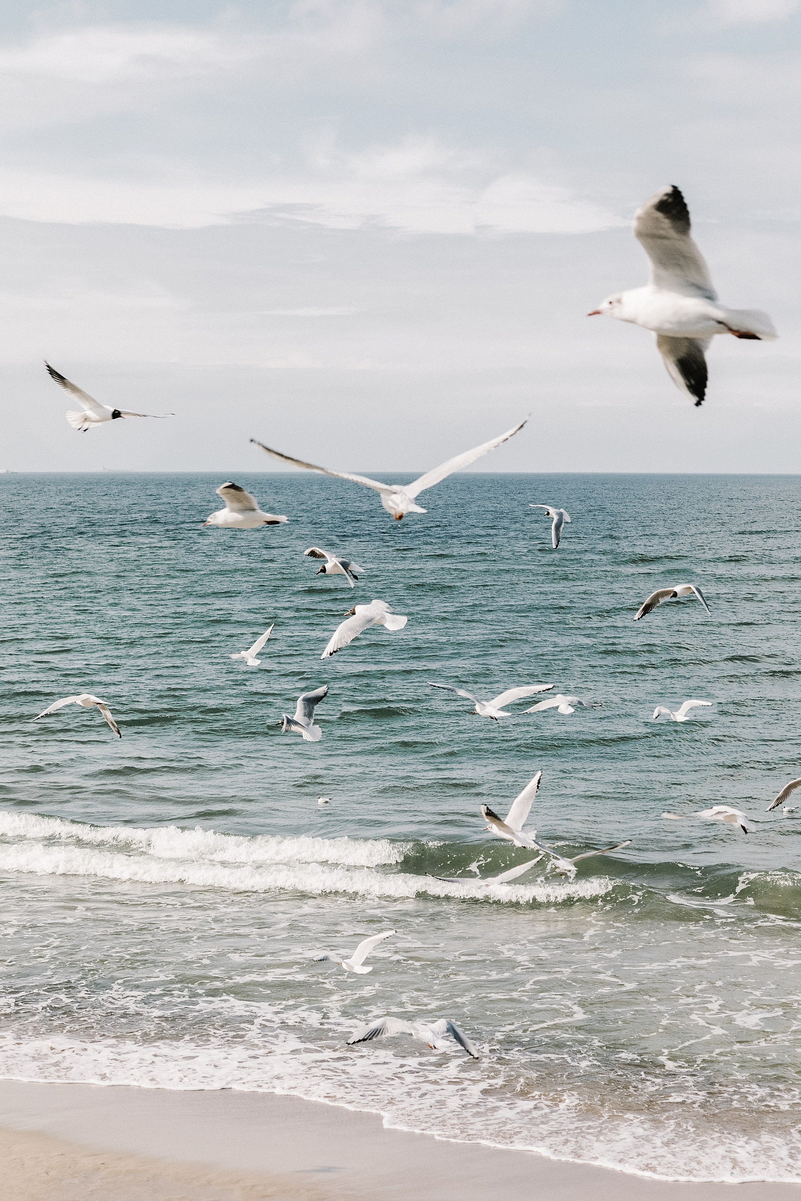 Life. Лена Крутова. Фотограф в Москве