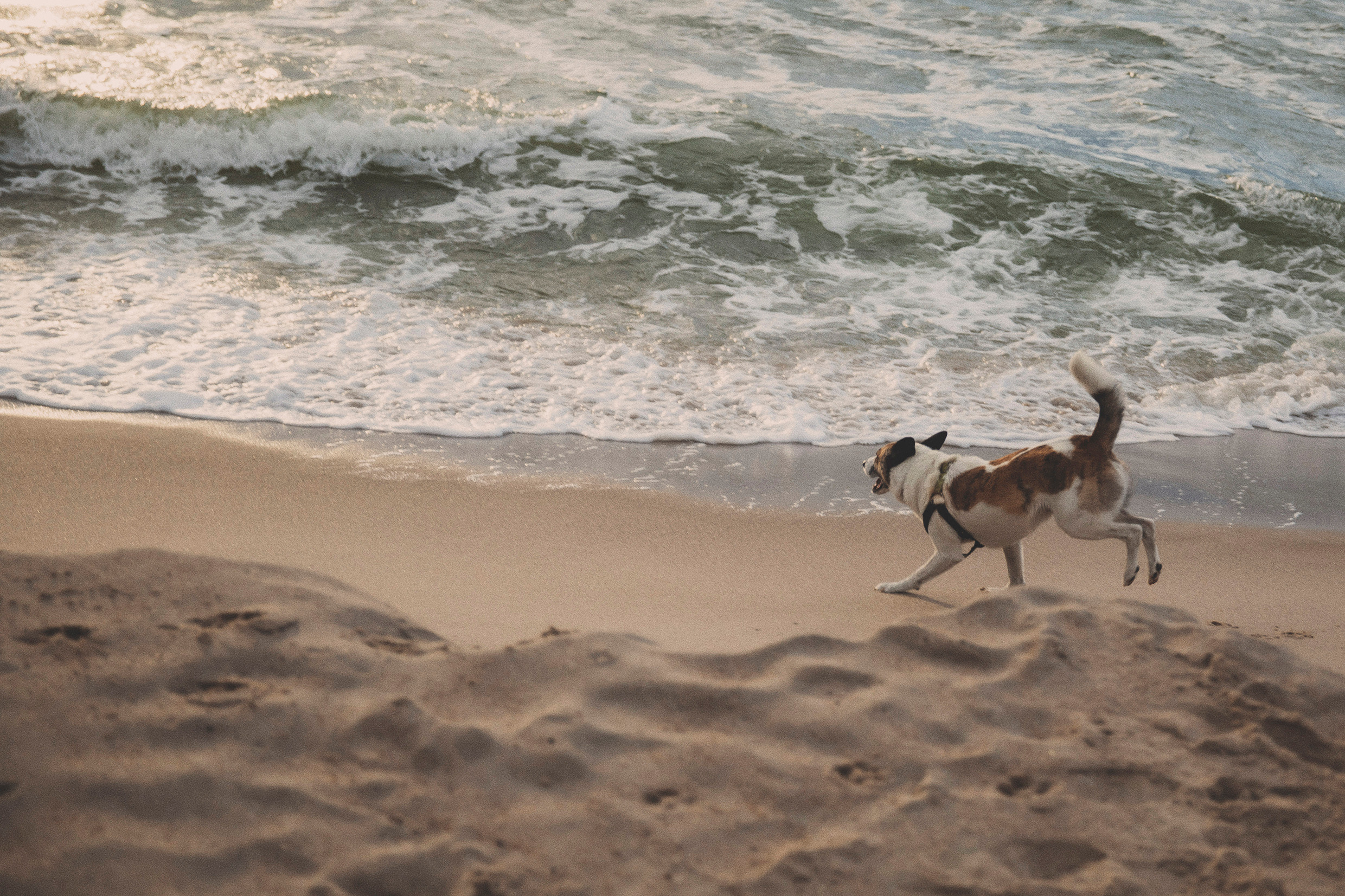 #фотографкалининград. Свадебный и семейный фотограф Колоскова Мария (Сочи и весь мир)