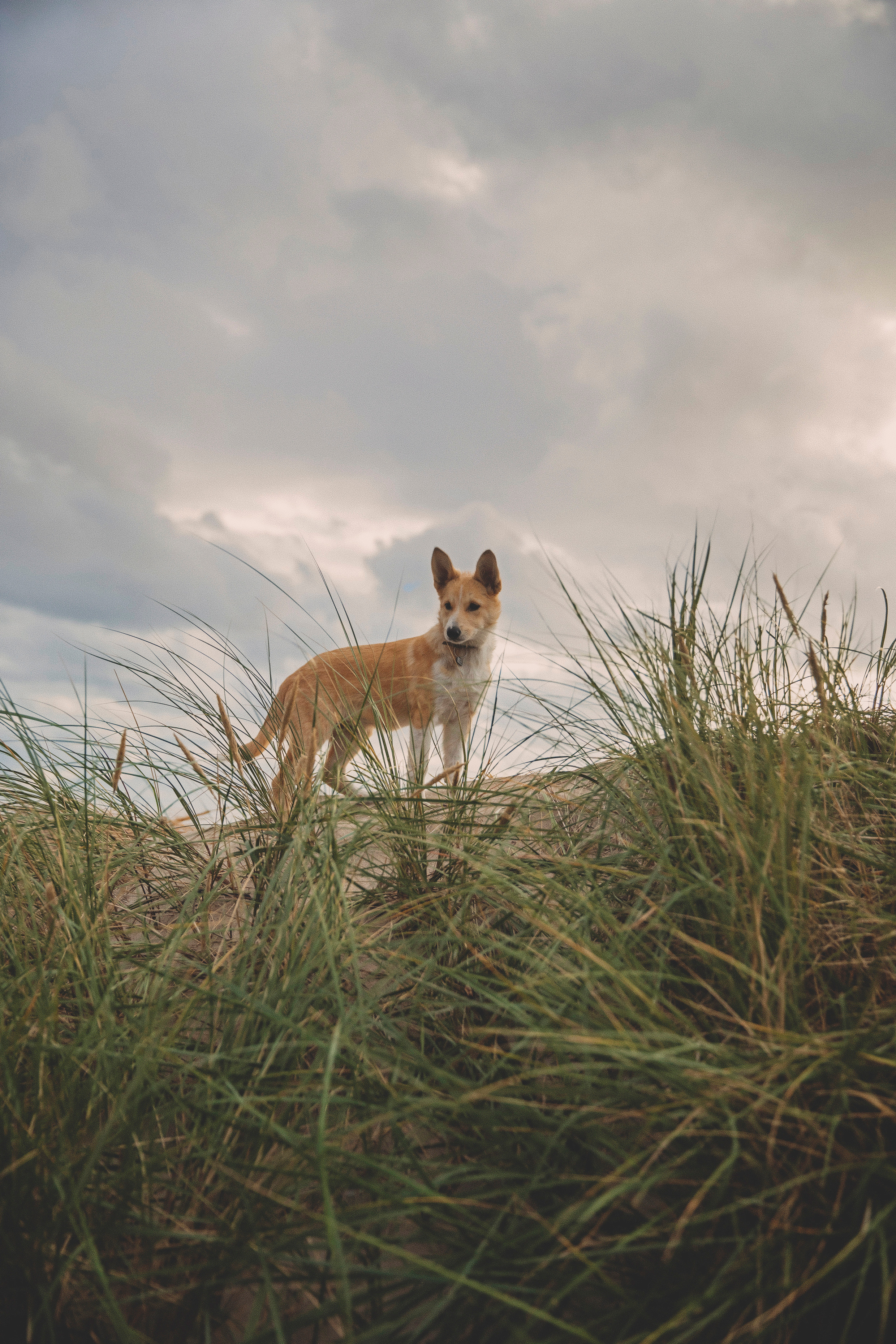 #фотографкалининград. Свадебный и семейный фотограф Колоскова Мария (Сочи и весь мир)
