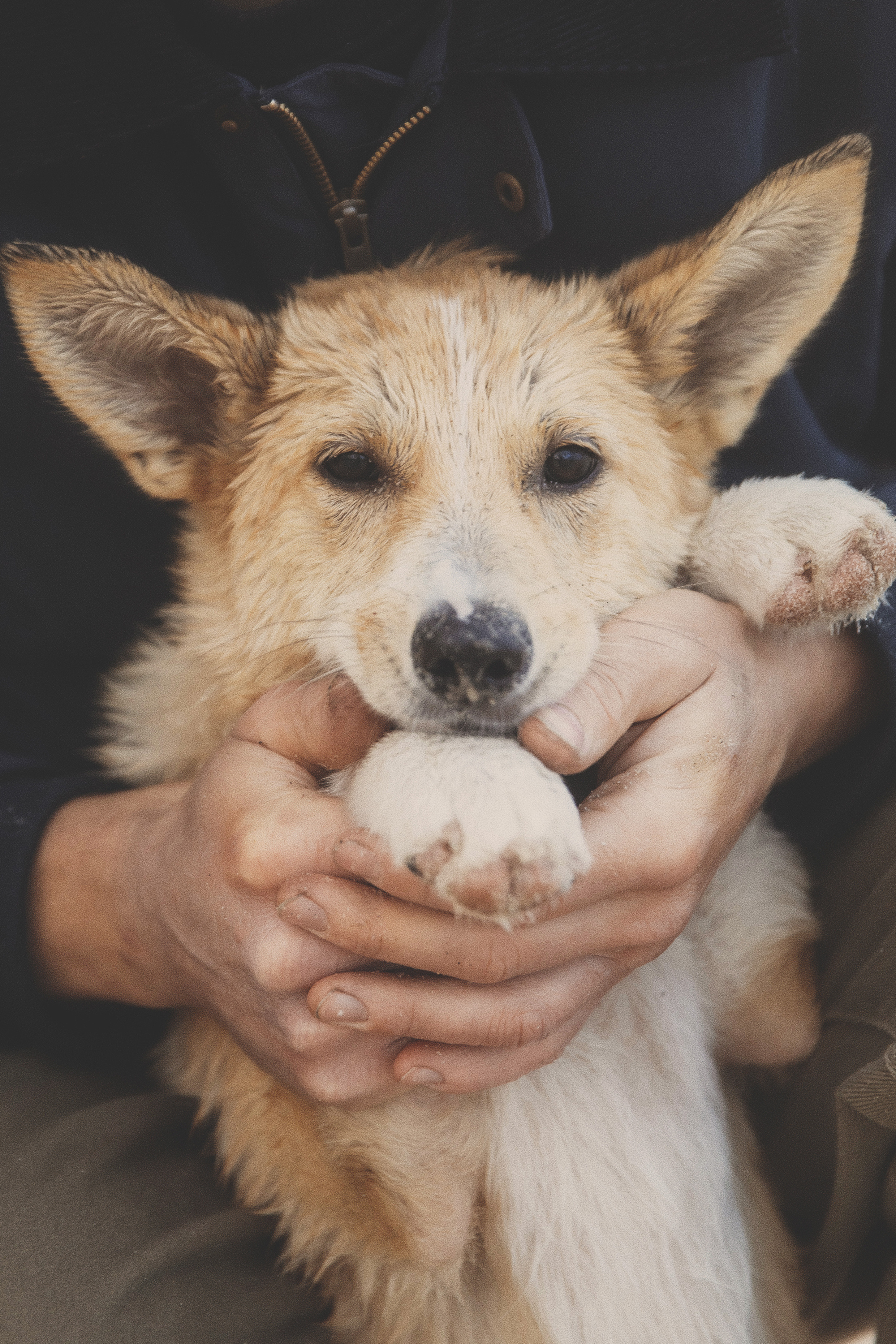 #фотографкалининград. Свадебный и семейный фотограф Колоскова Мария (Сочи и весь мир)