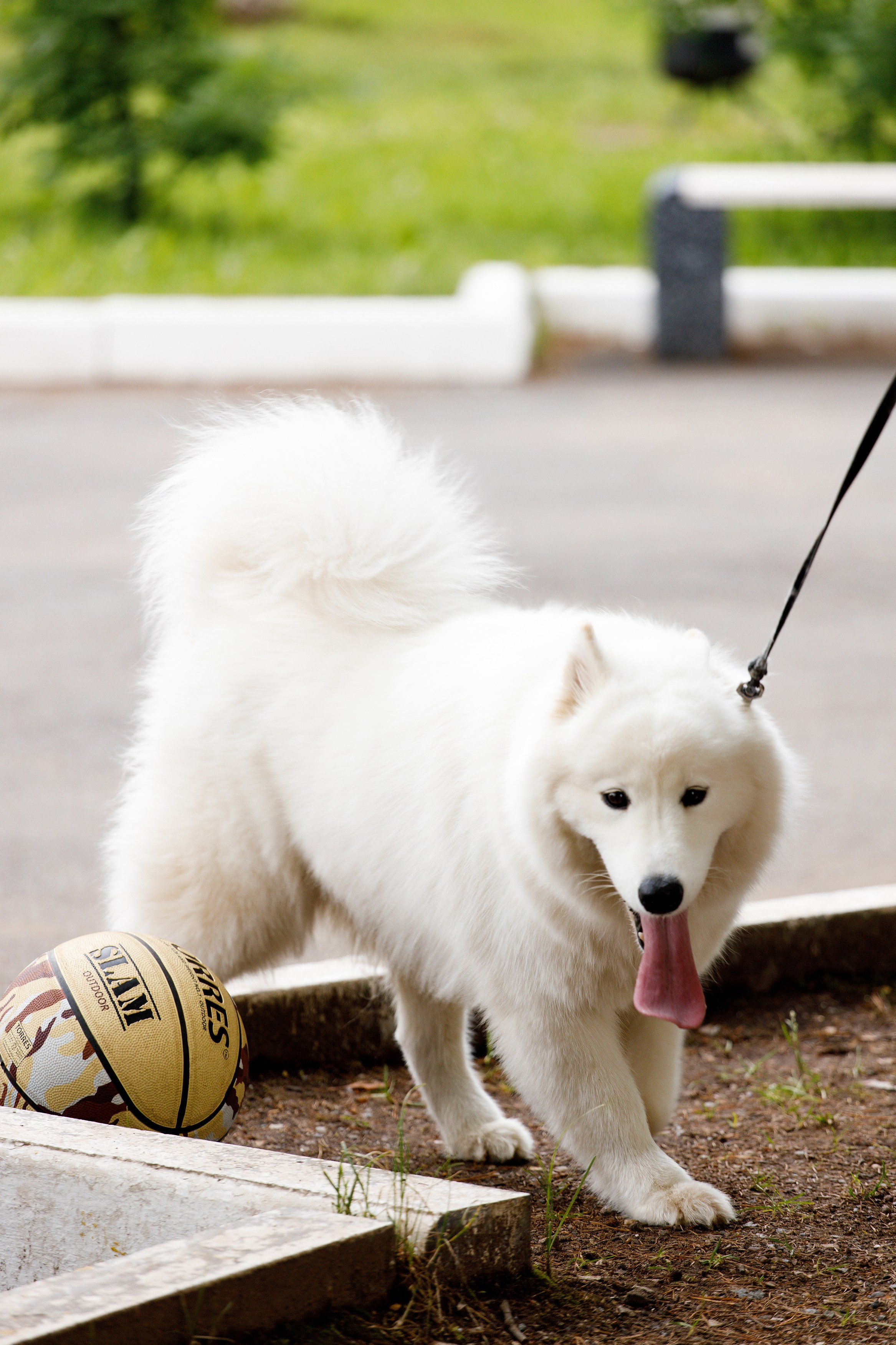 Гутен Таг — лагерь Нечайка. Фотограф Дмитрий Молчанов | Фотограф Пермь | Фотограф