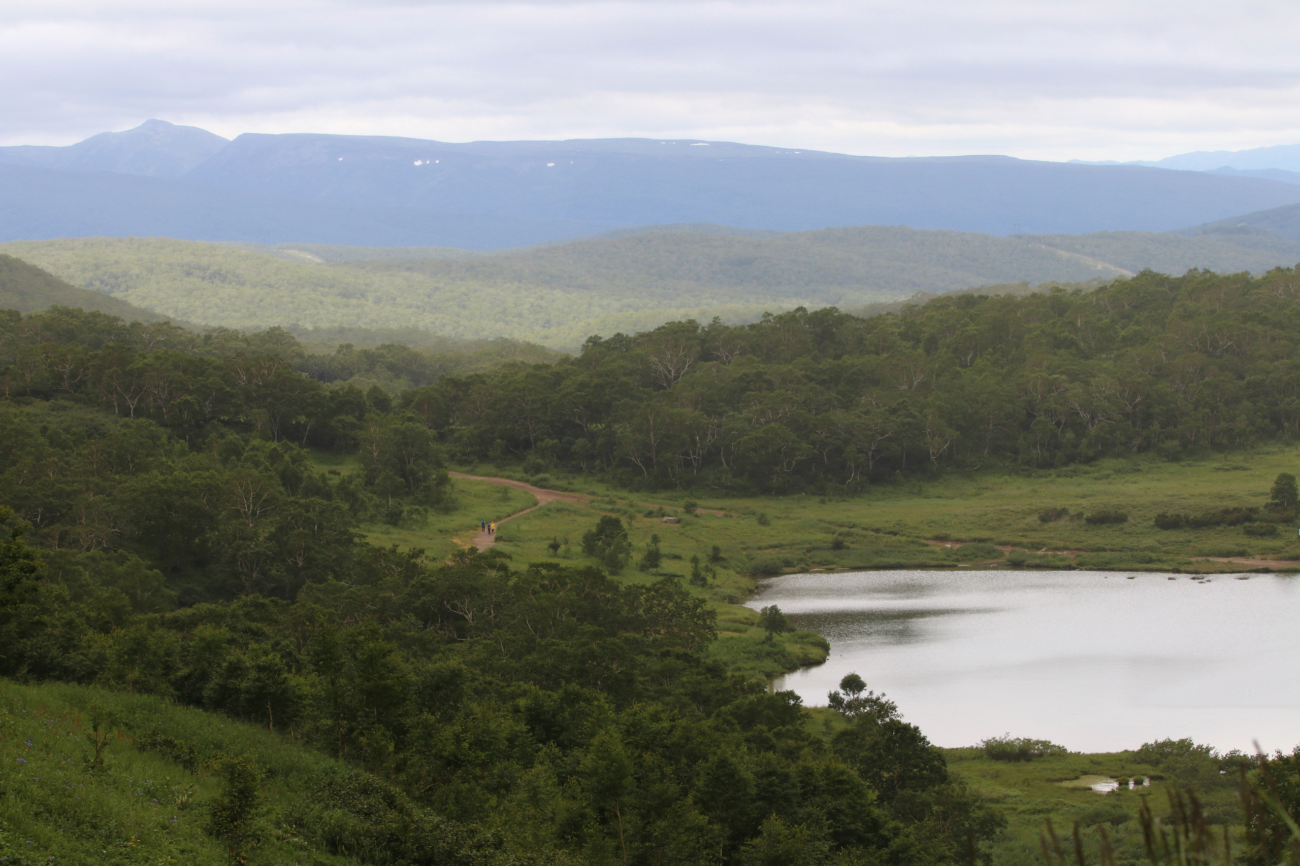 Камчатка и о. Парамушир. Июль 2024. Путешественник-фотограф из Санкт-Петербурга Татьяна Свистулина