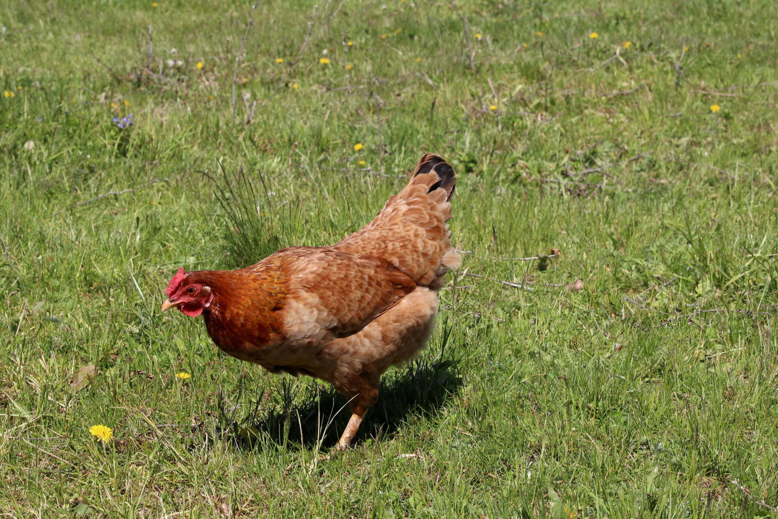 Велопоход Уфа — Мелеуз. Май 2024. Путешественник-фотограф из Санкт-Петербурга Татьяна Свистулина