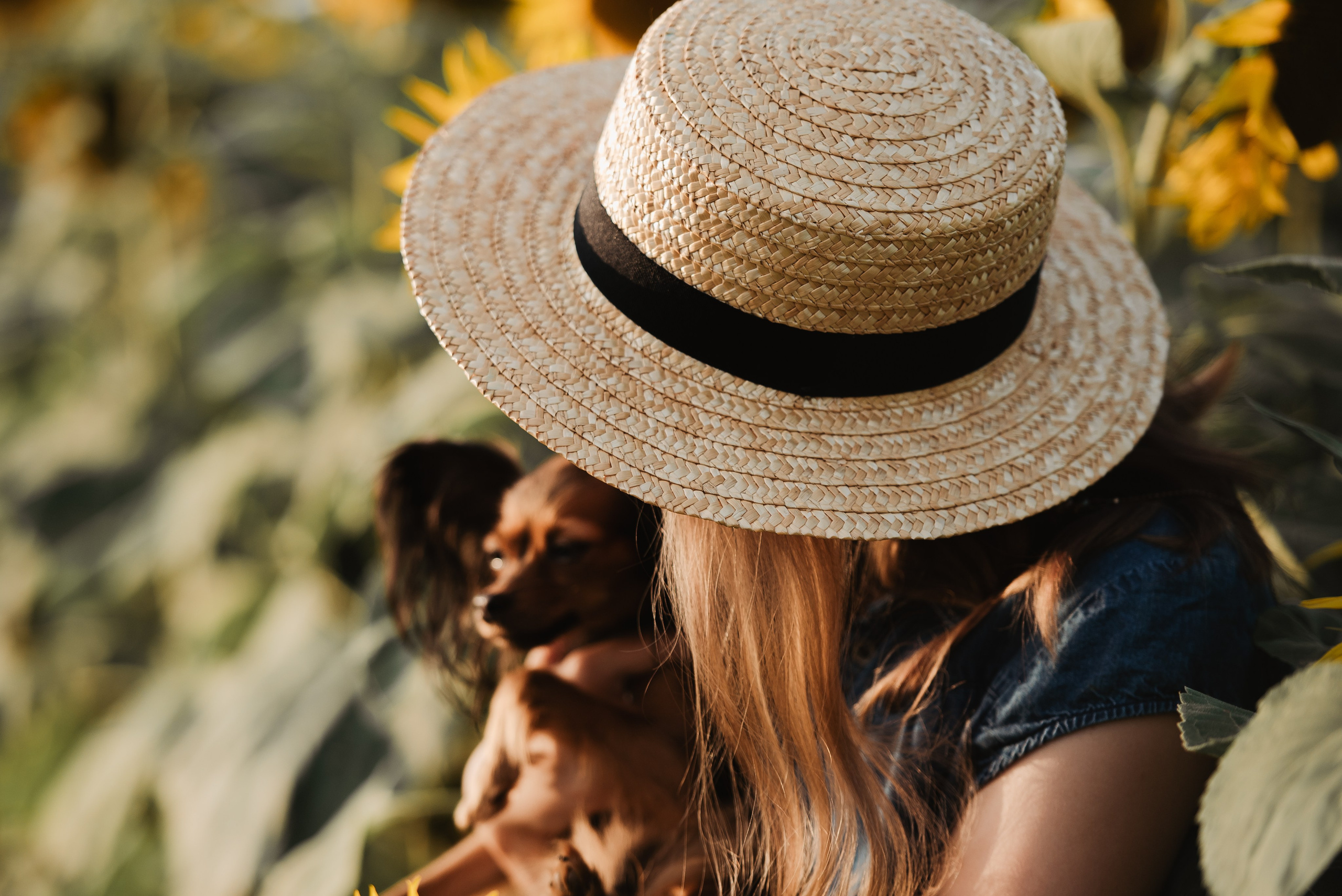 Прогулка в подсолнухах. Семейный Фотограф в Москве Ирина Хохлова