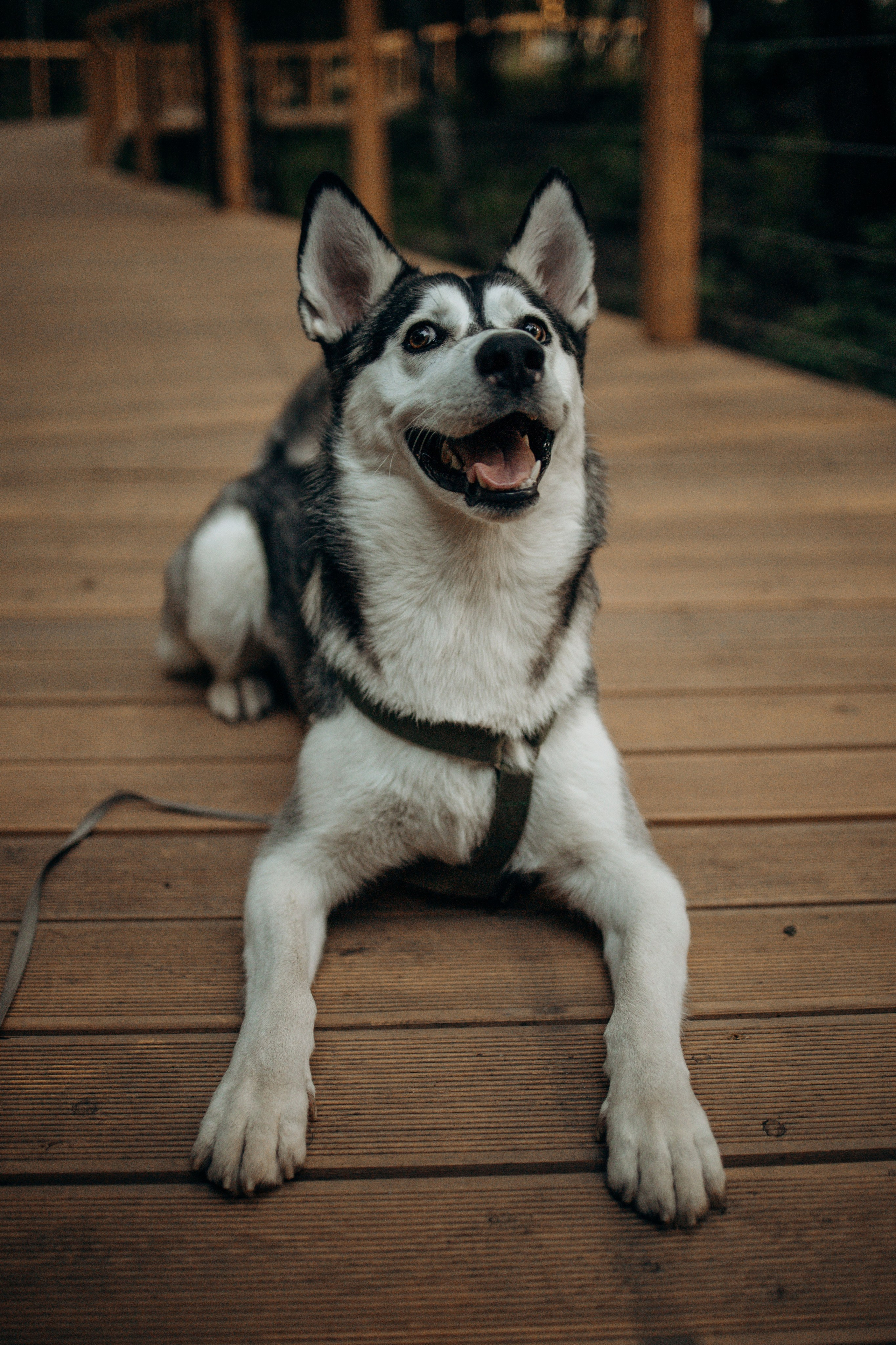 Феня и его семья