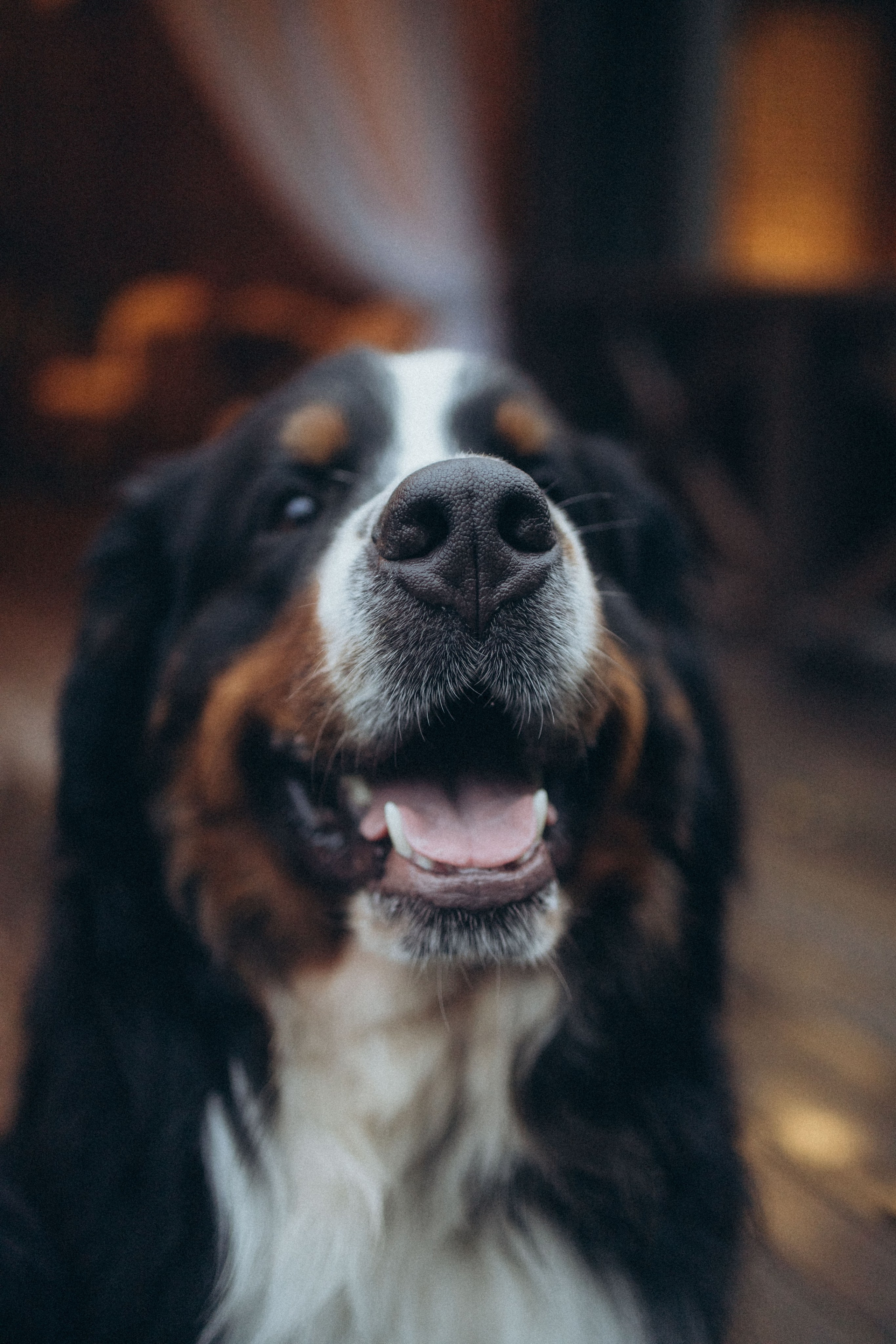 Таня и Тери