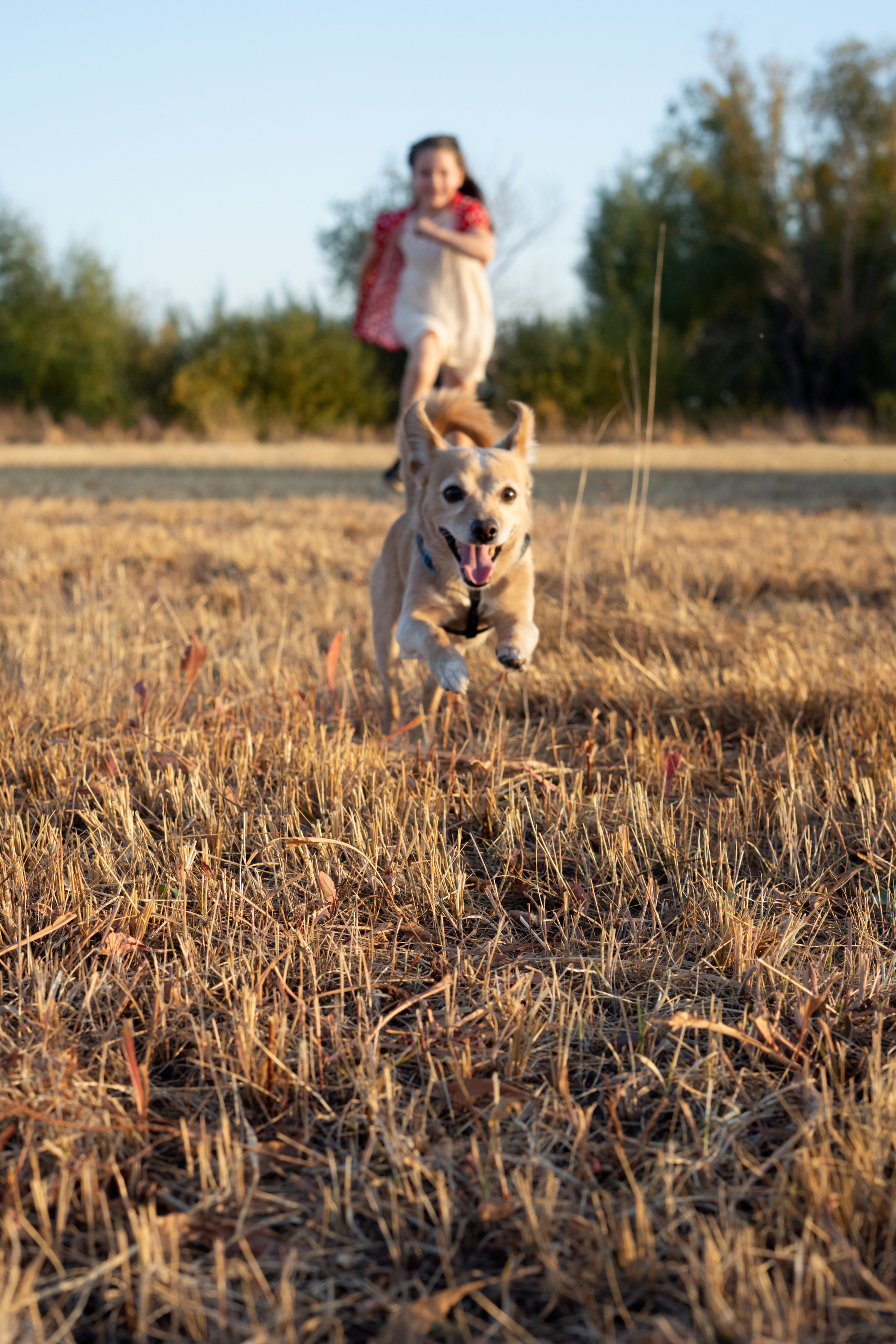 Семейная съемка. Мила Посвит Фотограф новорожденных в Тобольске