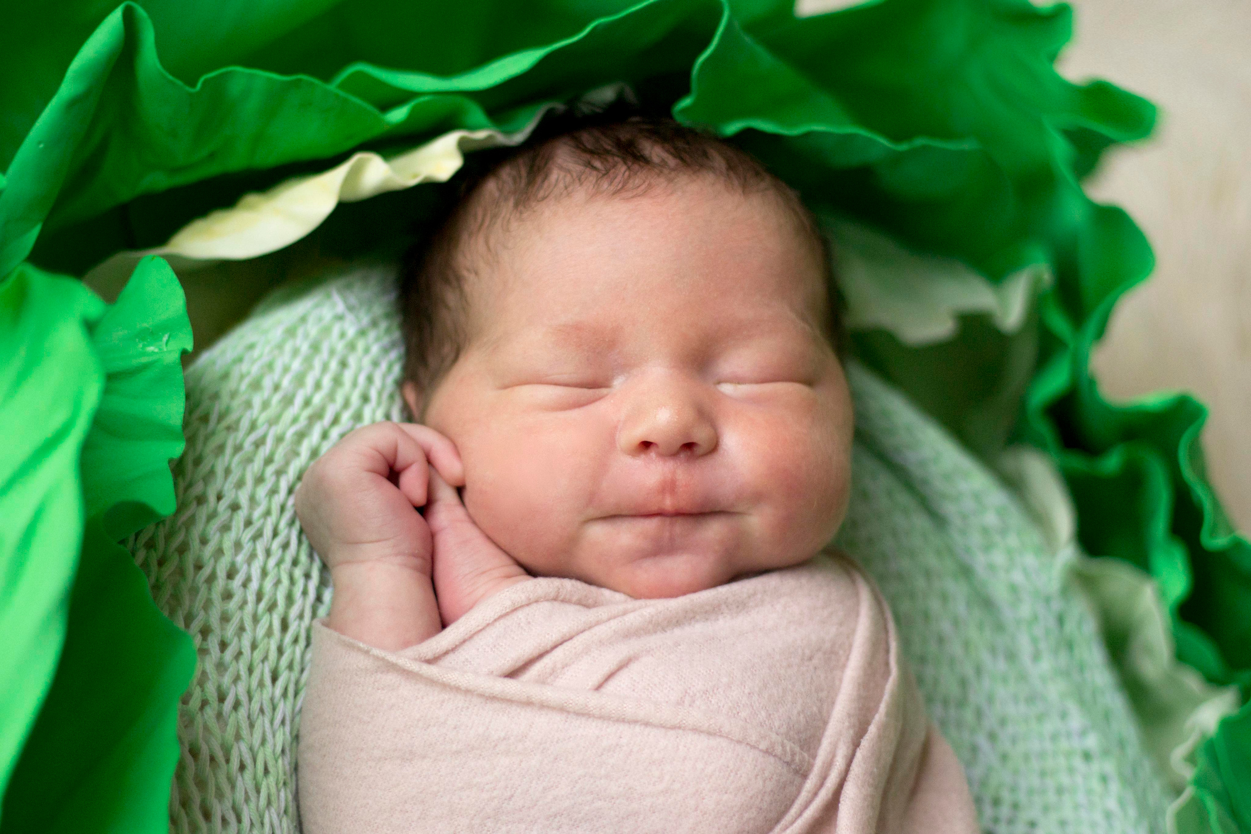 Мальчики. Мила Посвит Фотограф новорожденных в Тобольске