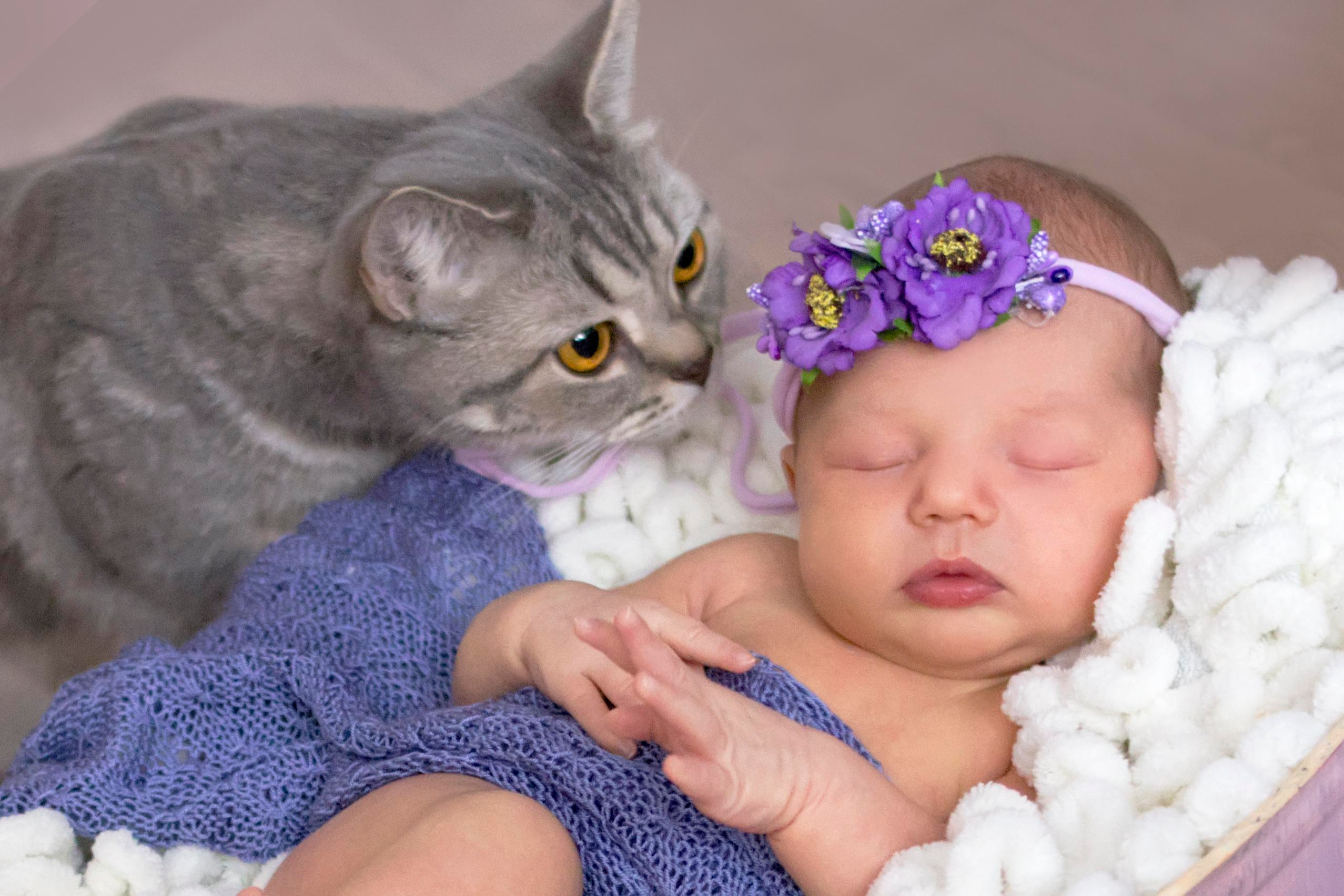 Девочки. Мила Посвит Фотограф новорожденных в Тобольске