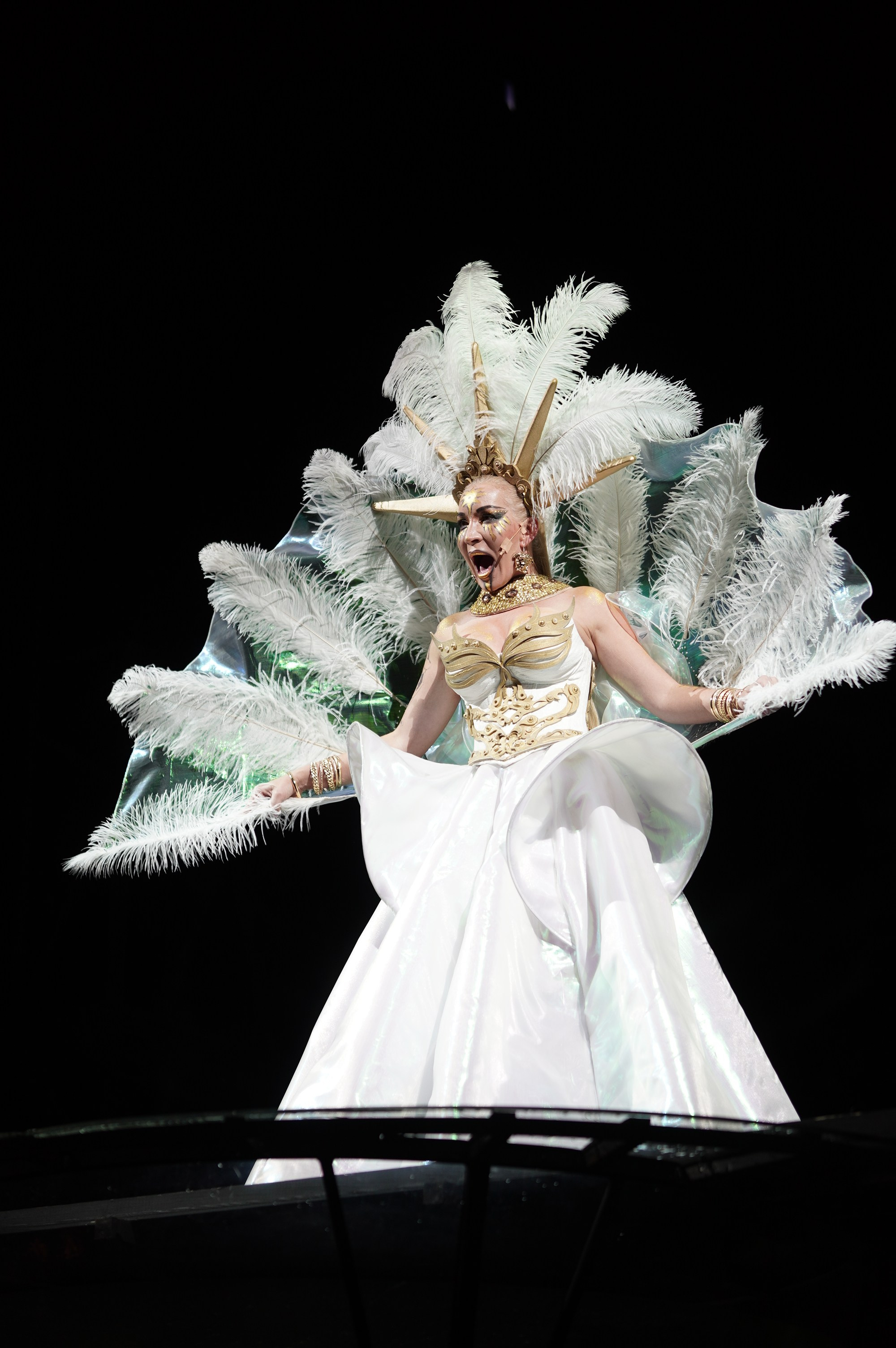 Нотр Дам (НЭТ). Maxon Magnusson