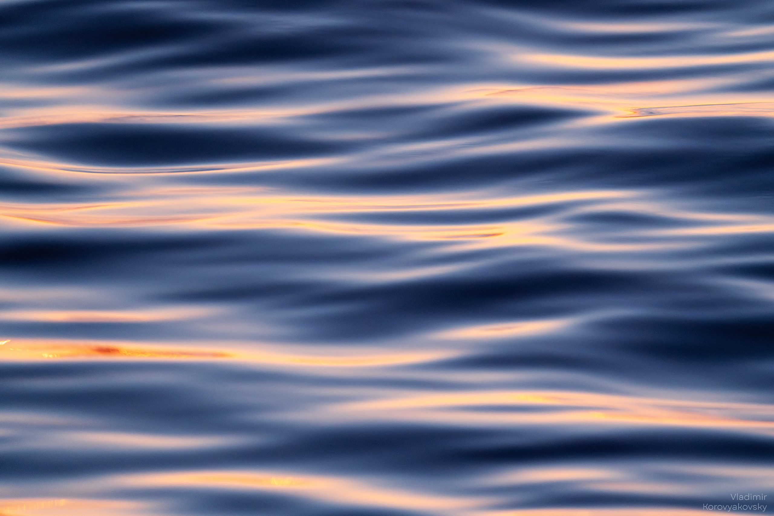 Nature. Photographer Vladimir Korovyakovsky