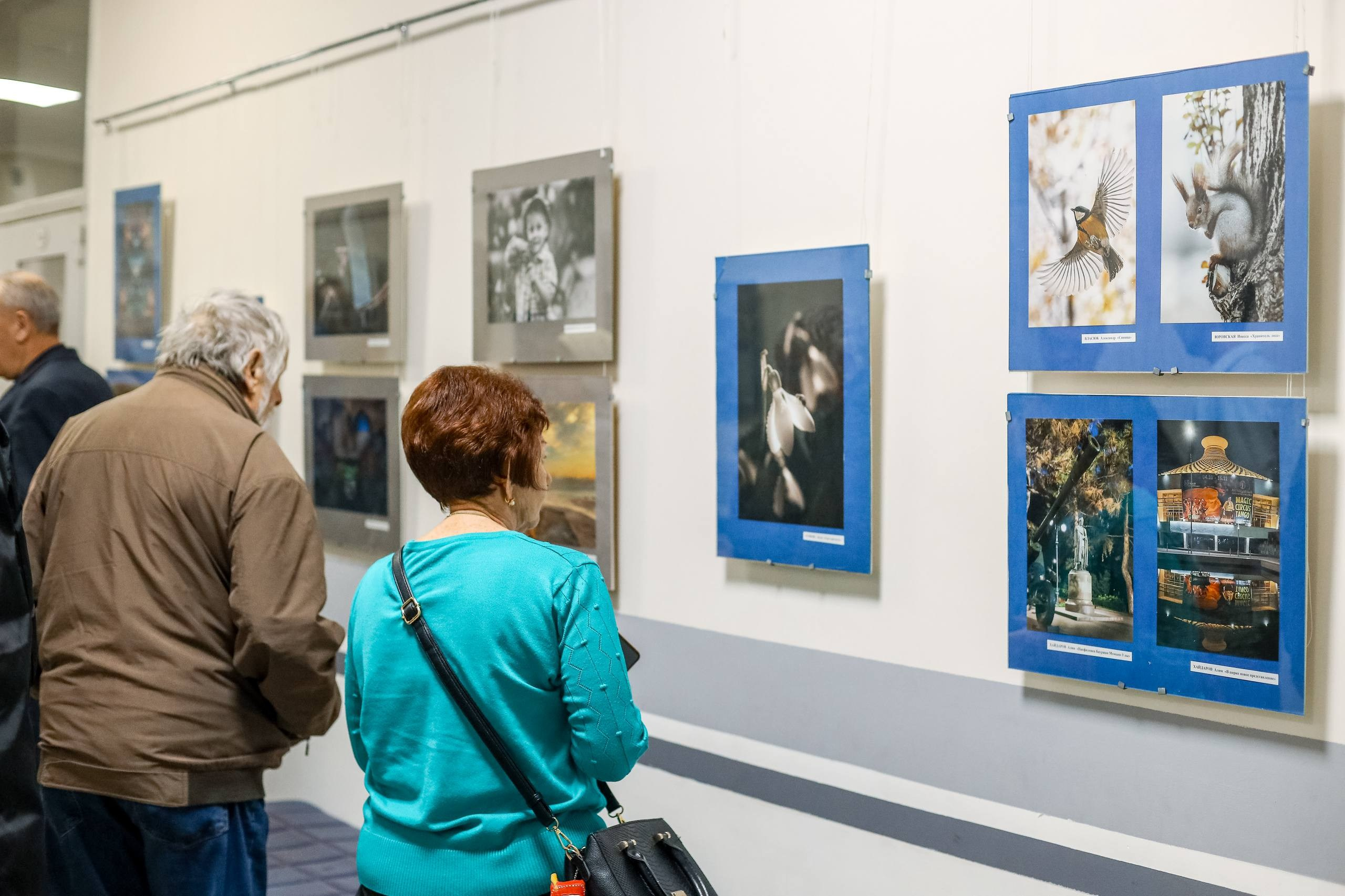 Выставки. Семейный и детский фотограф в Алматы Юровских Инесса