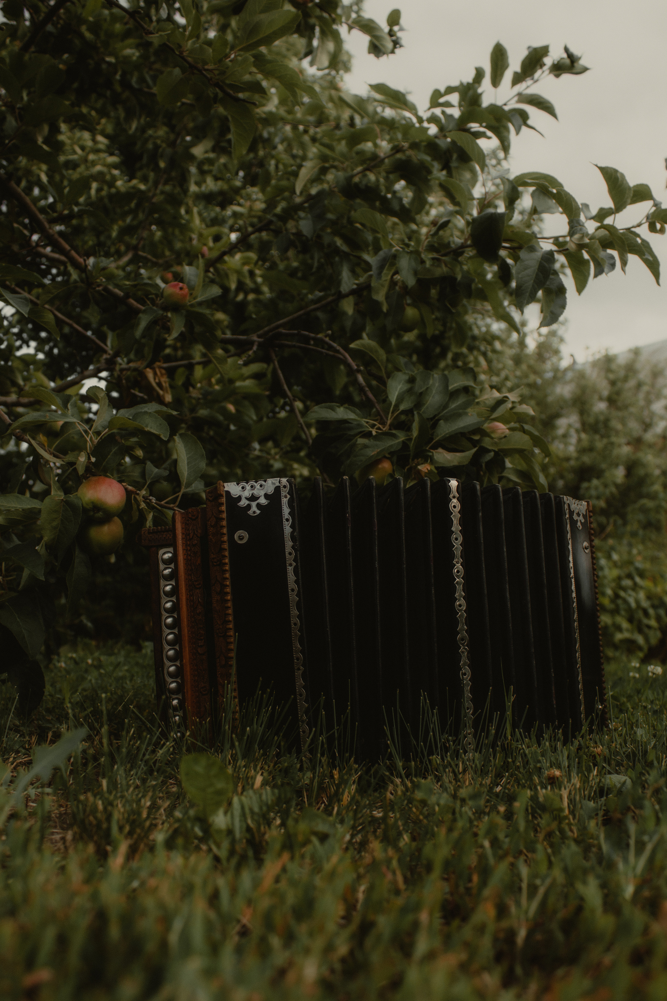 Яблоневый сад. Семейный и свадебный фотограф в Самаре